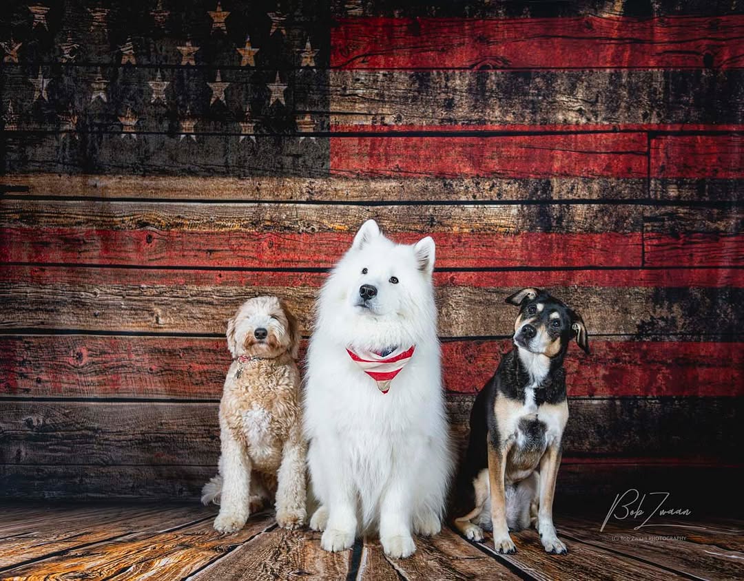 Bunting Wooden American Flag Backdrop for Photo YY00600