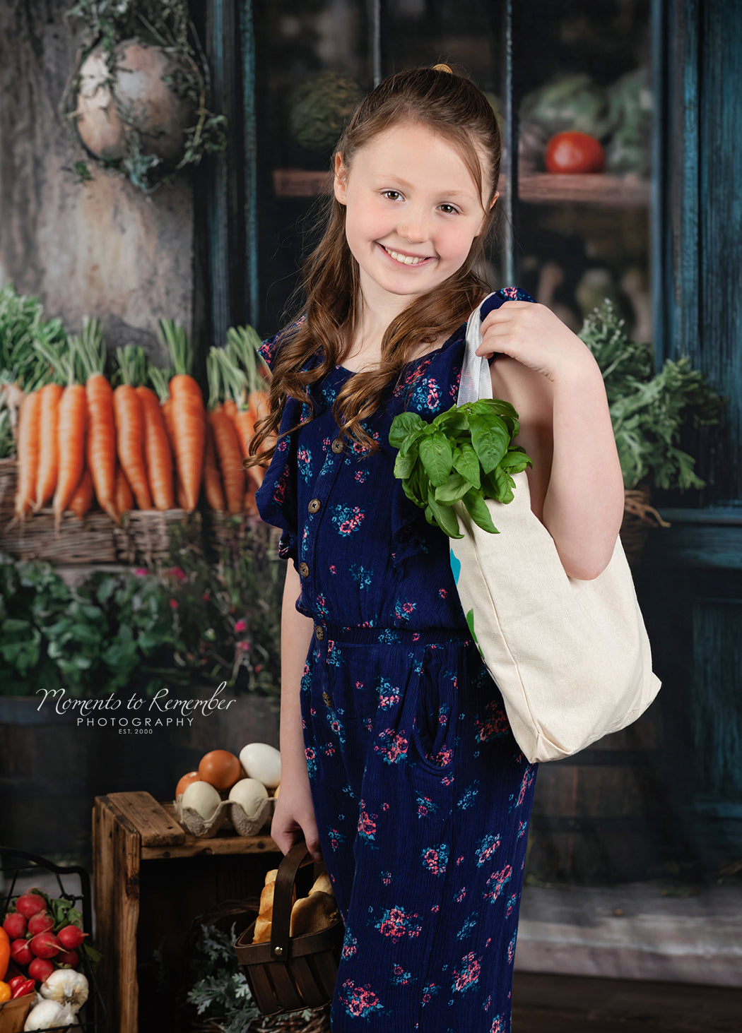 Spring Photography Backdrop Rustic Grocer Farm Window Backdrop LXX1-153