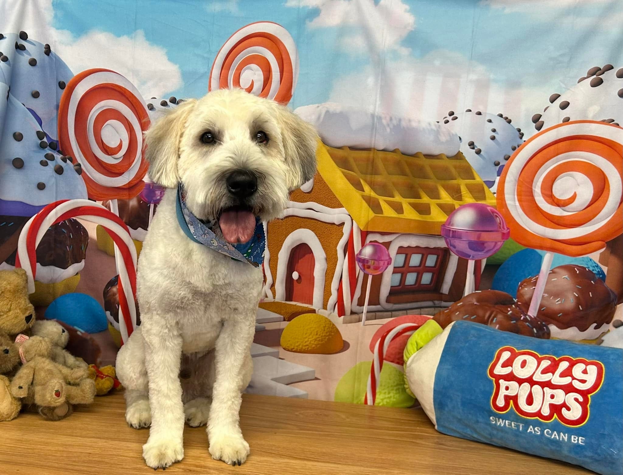 Candy Land Gingerbread House Xmas Backdrop M7-10