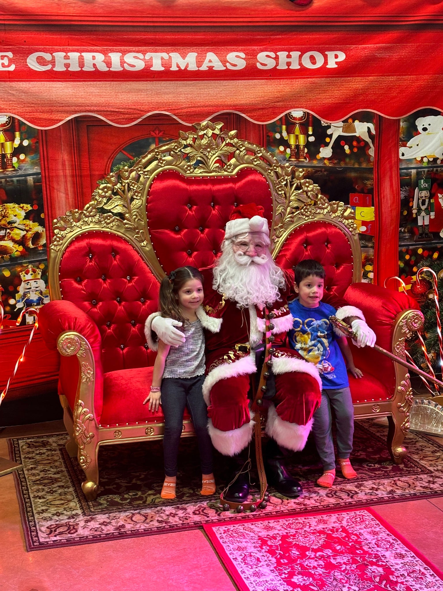 Christmas Shop Backdrop Holiday Winter Background D850
