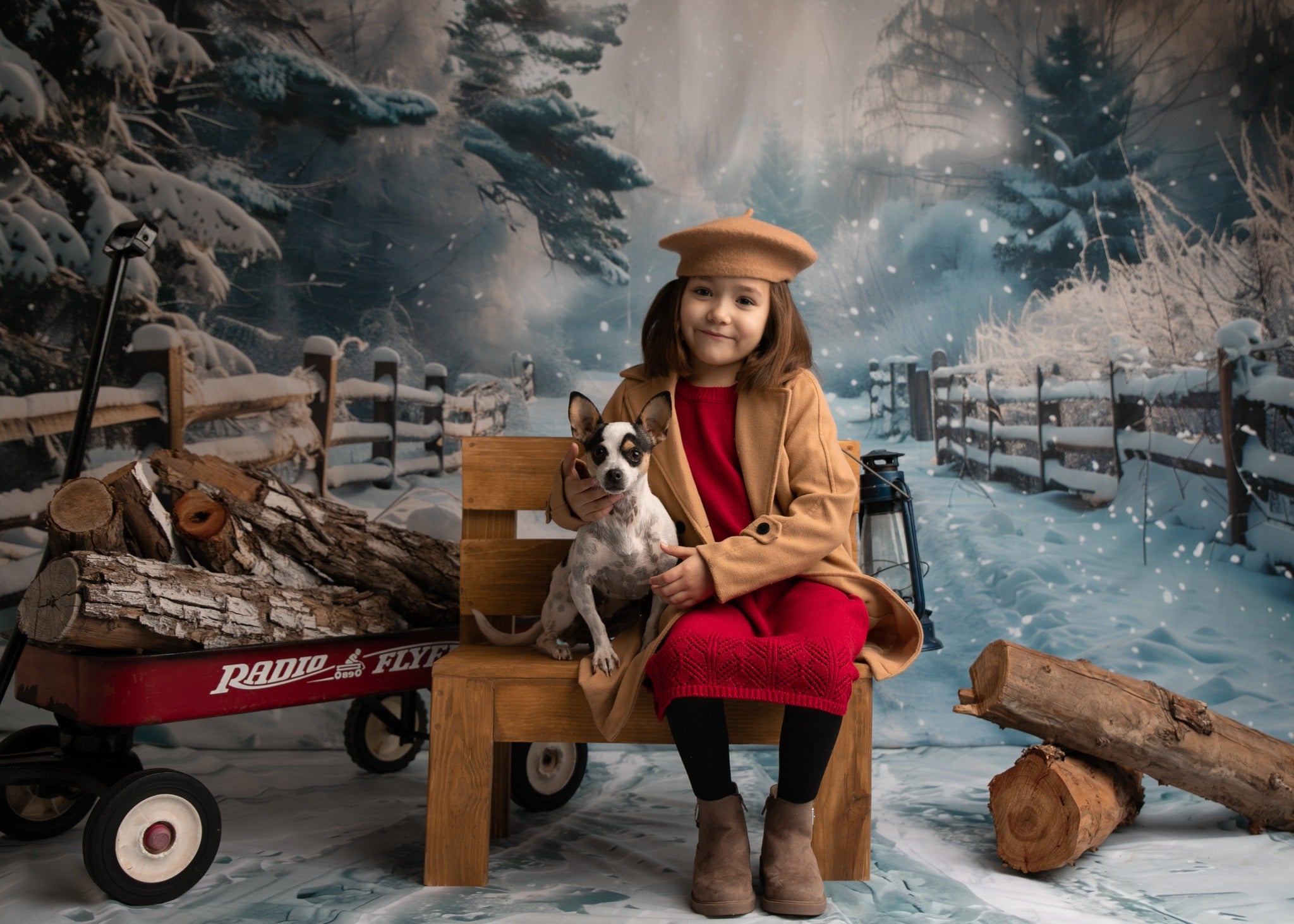 Winter Snowy Fence Trail Backdrop+Tracks Floor Backdrop BRP10-456