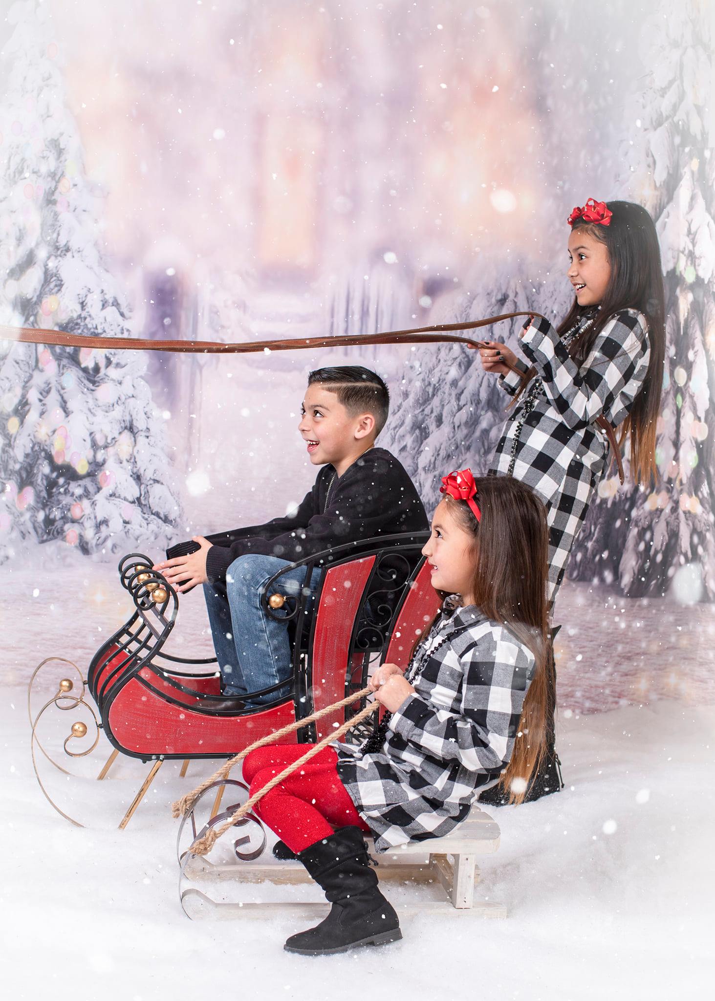 Winter Snow Christmas Tree Bokeh Photo Studio Backdrop  G-1194