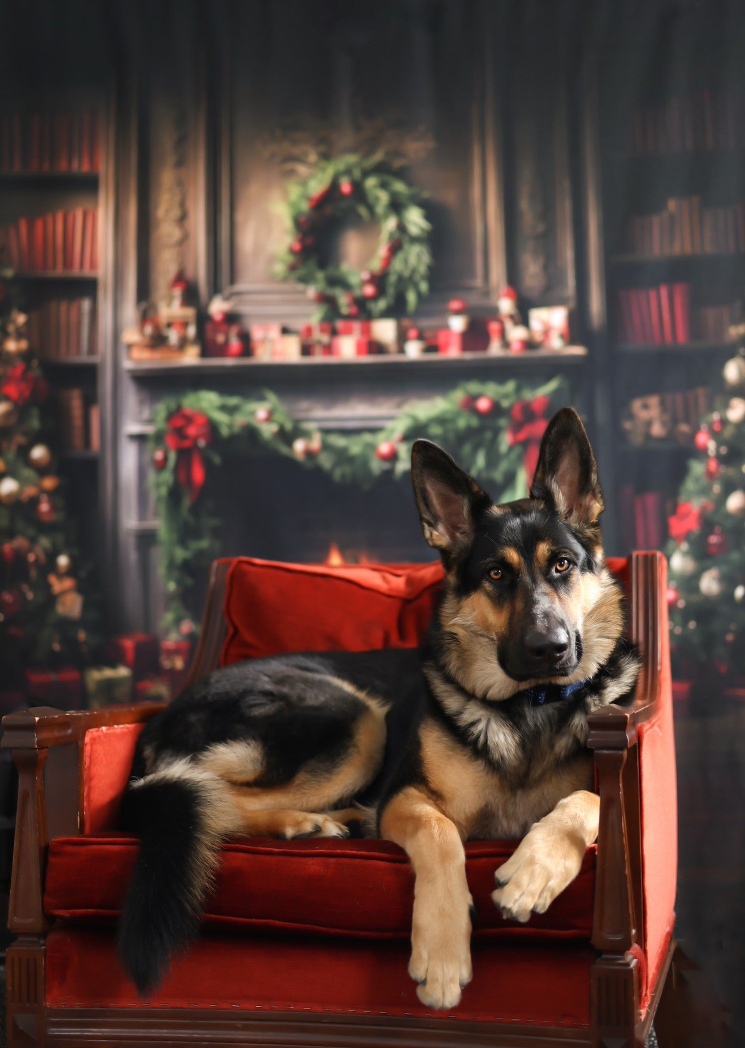 Christmas Tree Living Room Fireplace Backdrop RR7-820