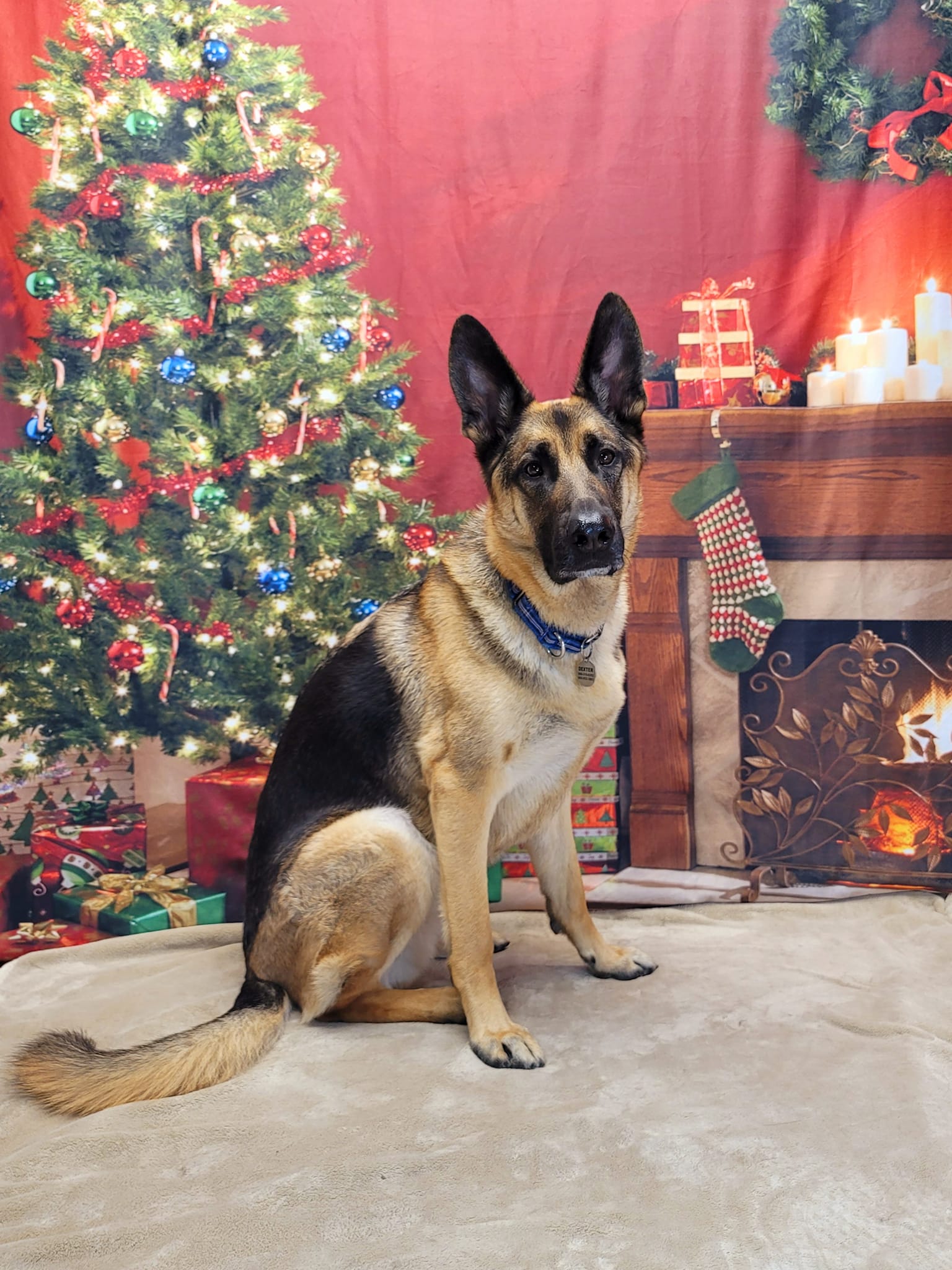 Christmas Tree Garland Wall Fireplace Backdrop KAT-106