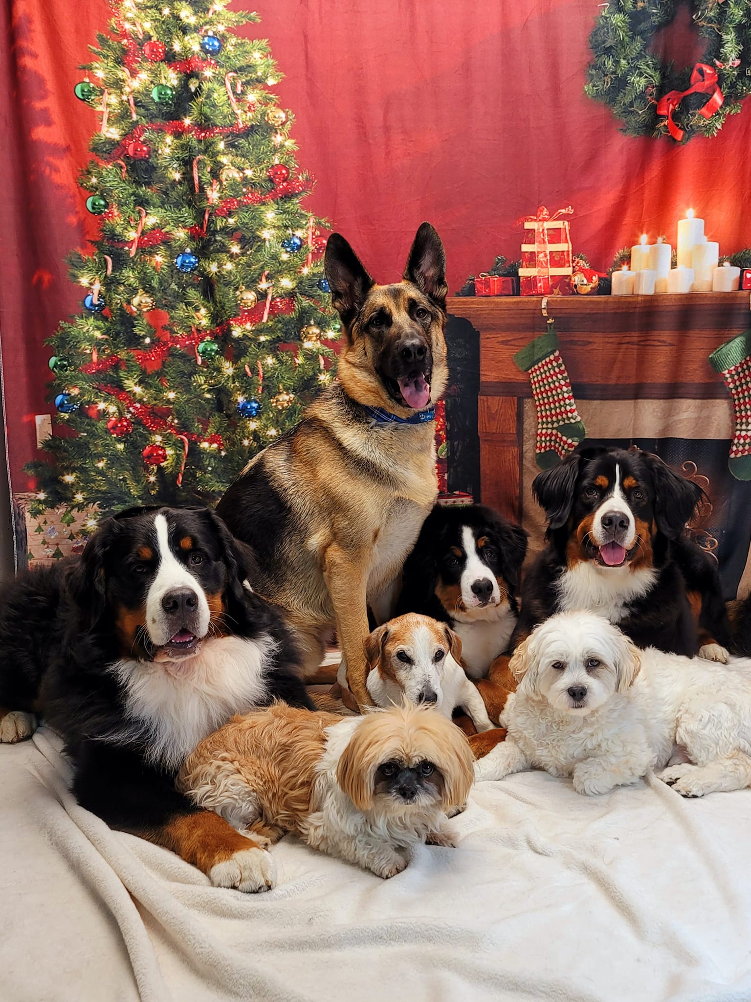 Christmas Tree Garland Wall Fireplace Backdrop KAT-106