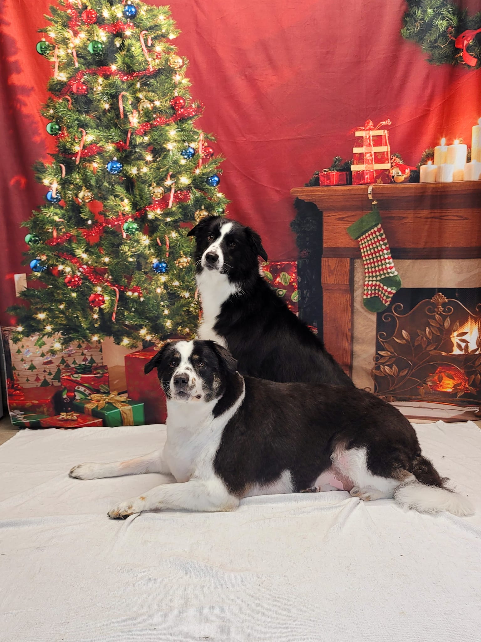 Christmas Tree Garland Wall Fireplace Backdrop KAT-106