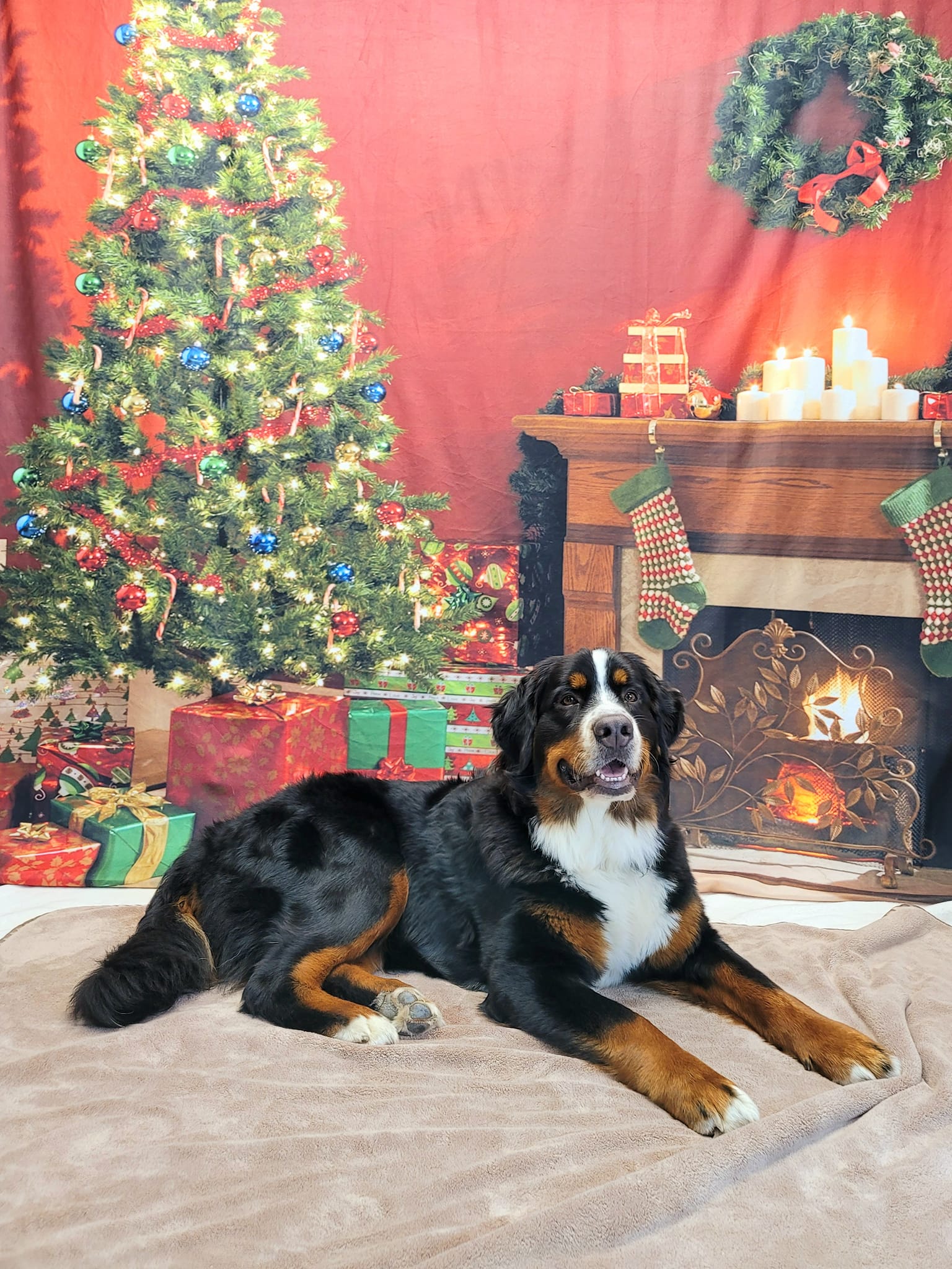 Christmas Tree Garland Wall Fireplace Backdrop KAT-106