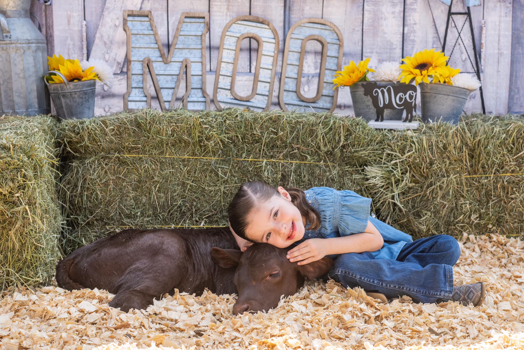 Retro Wooden Barn Door Backdrop for Photo Booth GA-69