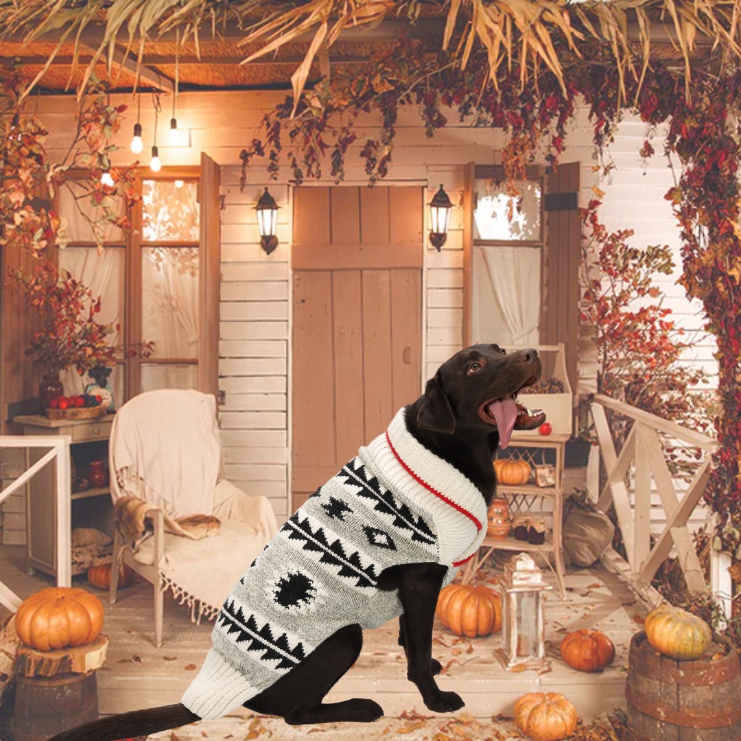 Photography Backdrop Pumpkin Fall Halloween Courtyard  SH-1096