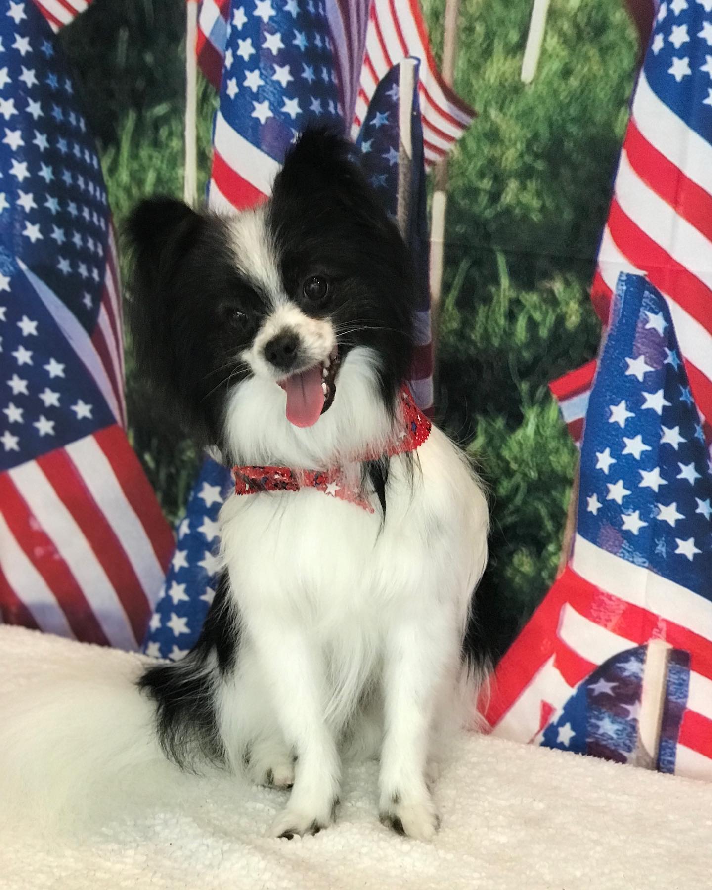 USA Flag Independence Day Patriotic Photo Studio Backdrop DLR-2