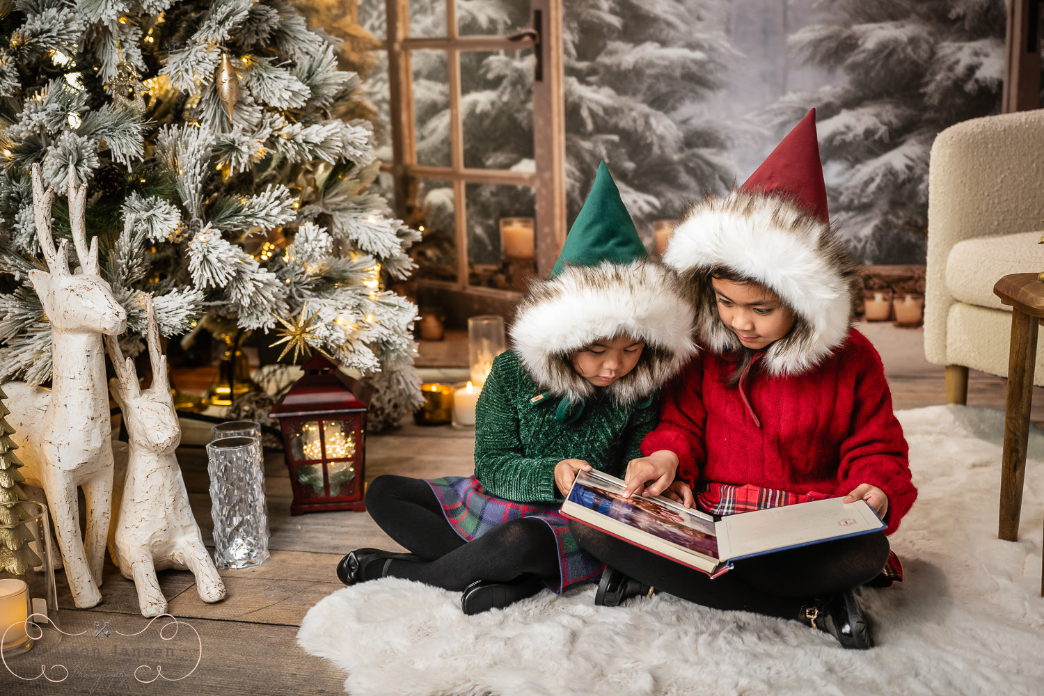Winter Forest Backdrop Open Doors Snowy Pines Winter Backdrop MRR9-97