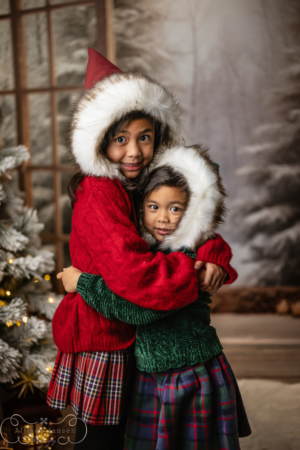Winter Forest Backdrop Open Doors Snowy Pines Winter Backdrop MRR9-97