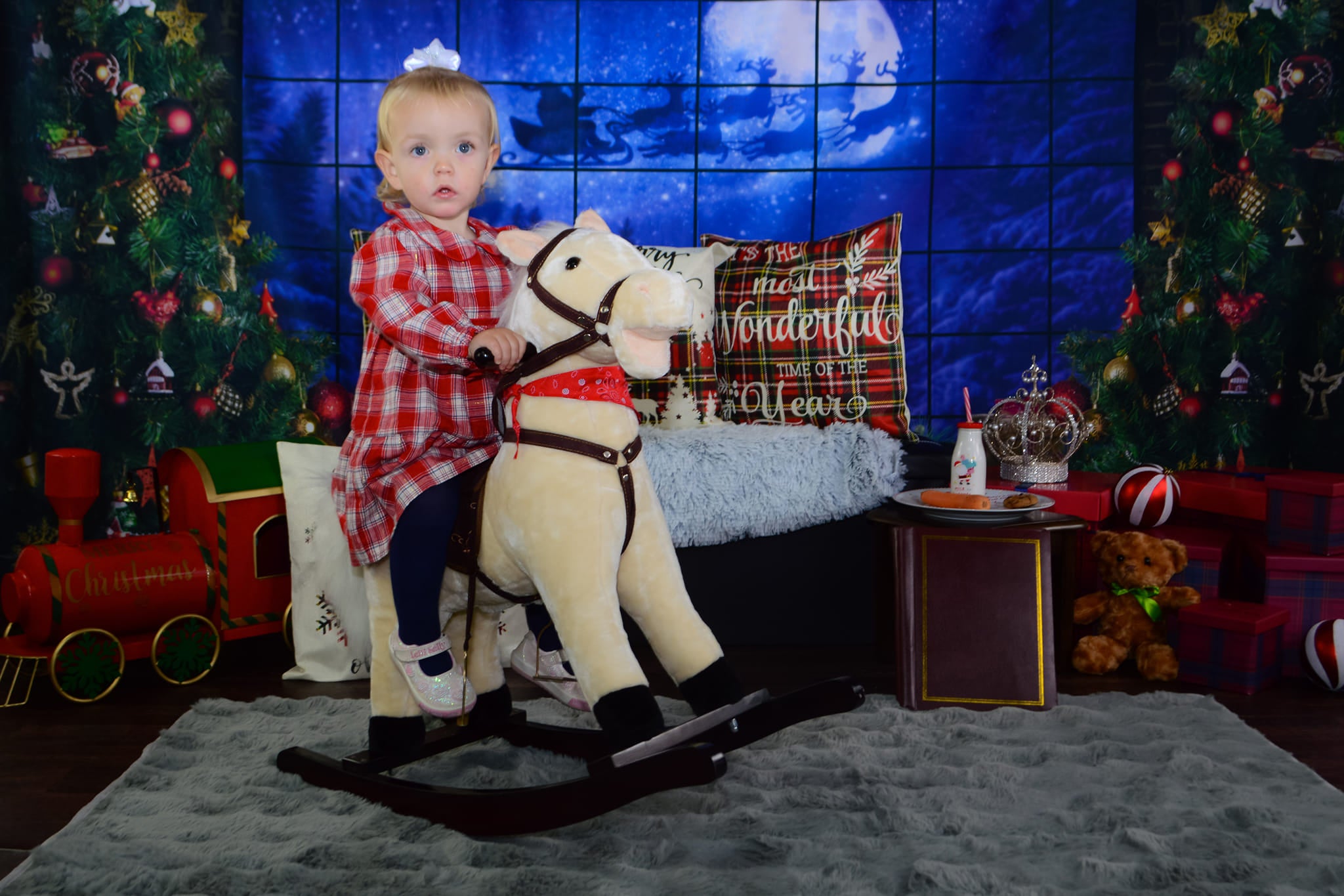 Christmas Tree Window Gifts Photography Backdrop  D822