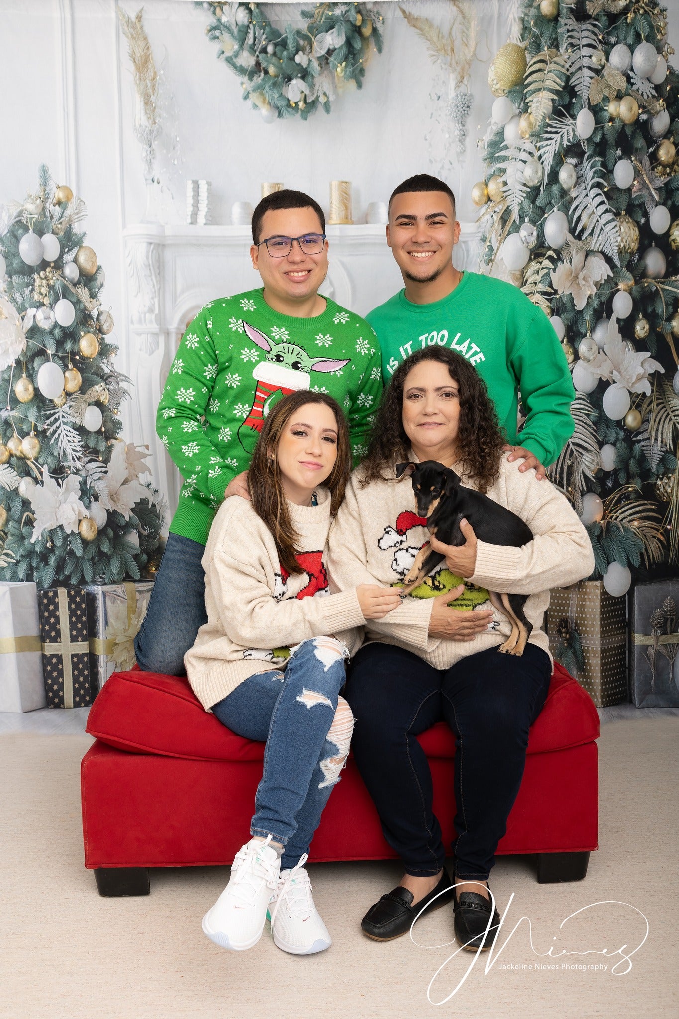 Christmas Snow Room Decor Photo Backdrops KAT-57