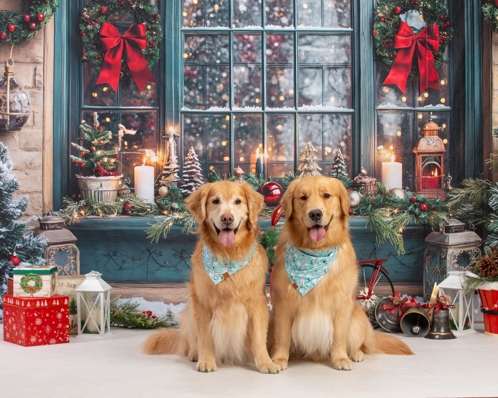 Christmas Wreath Glowing Window Backdrop RR8-109
