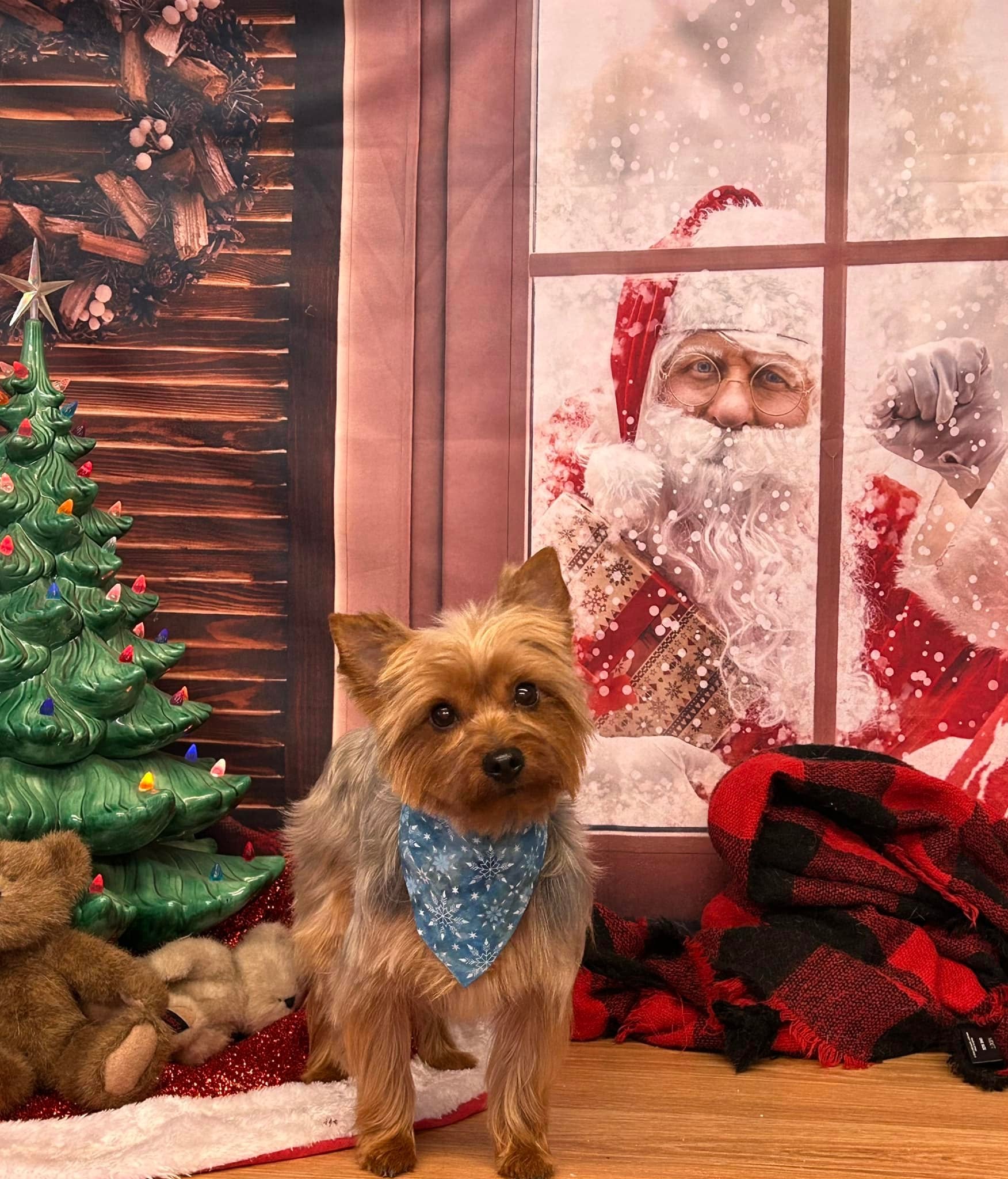 Santa Claus Outside Window Christmas Backdrop M7-07