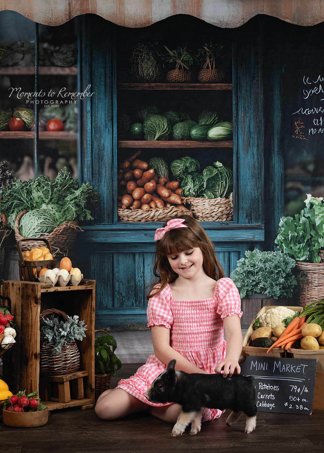 Spring Photography Backdrop Rustic Grocer Farm Window Backdrop LXX1-153