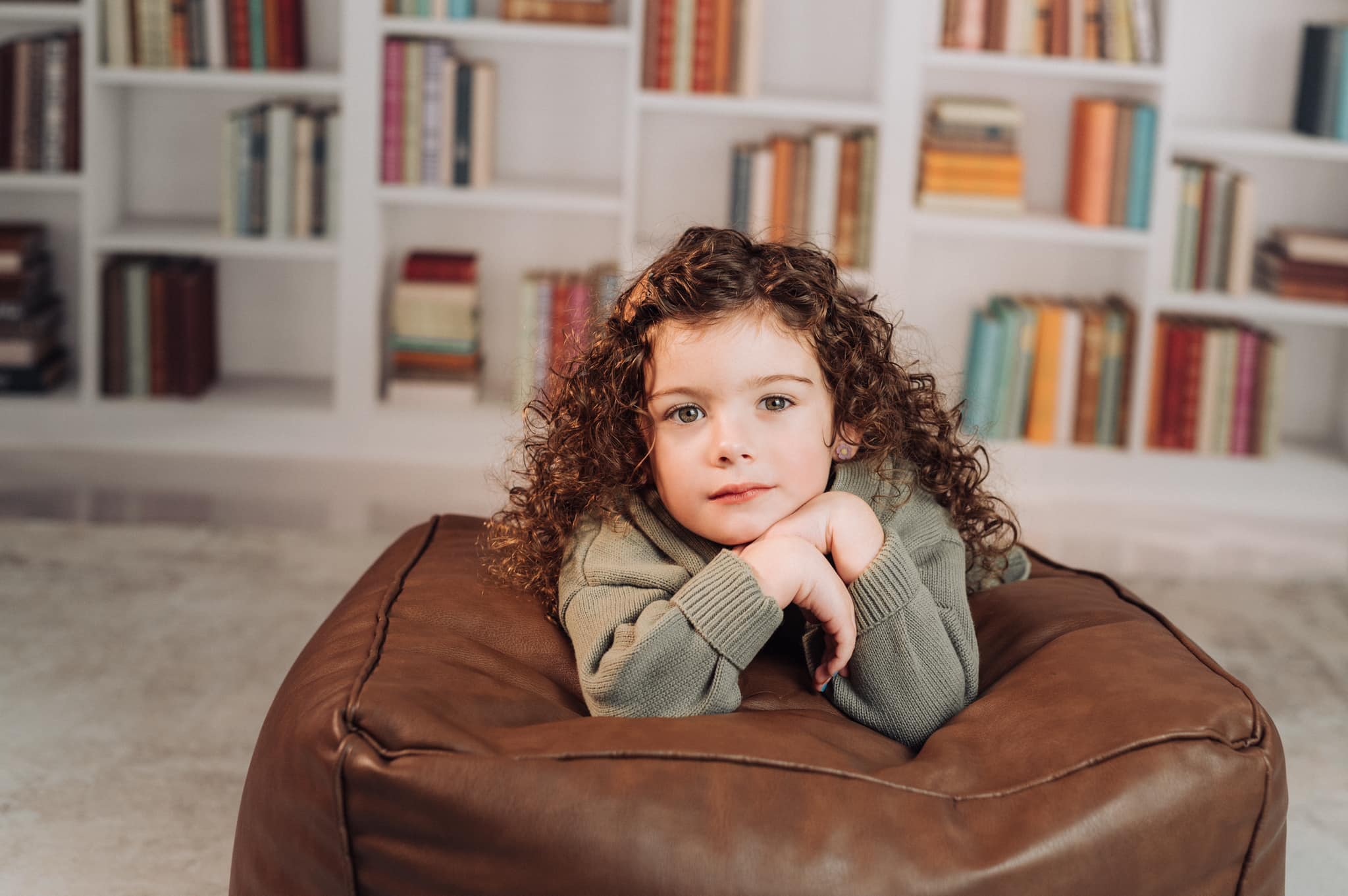 Bookshelf  Backdrop for School Photography GX-1029