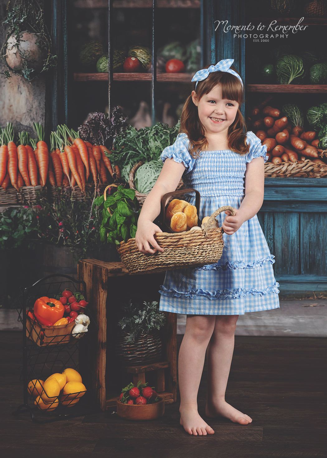 Spring Photography Backdrop Rustic Grocer Farm Window Backdrop LXX1-153