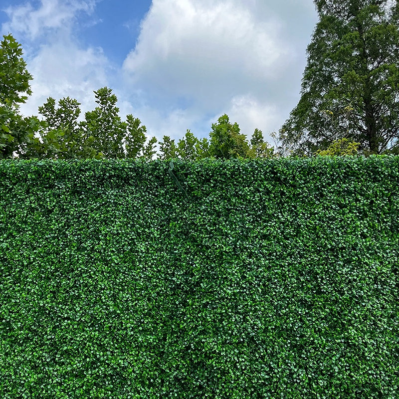 Artificial Greenery Wall Backdrop Boxwood Hedge Panel for Event Decor ABFW-030