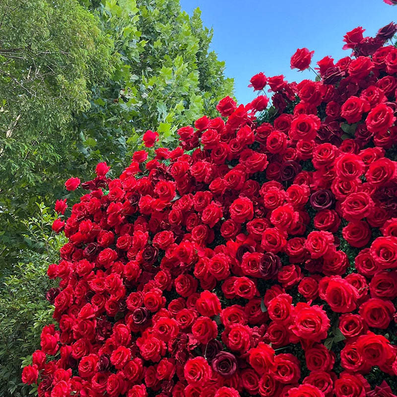 Massive display of red roses against a blue sky with green trees.