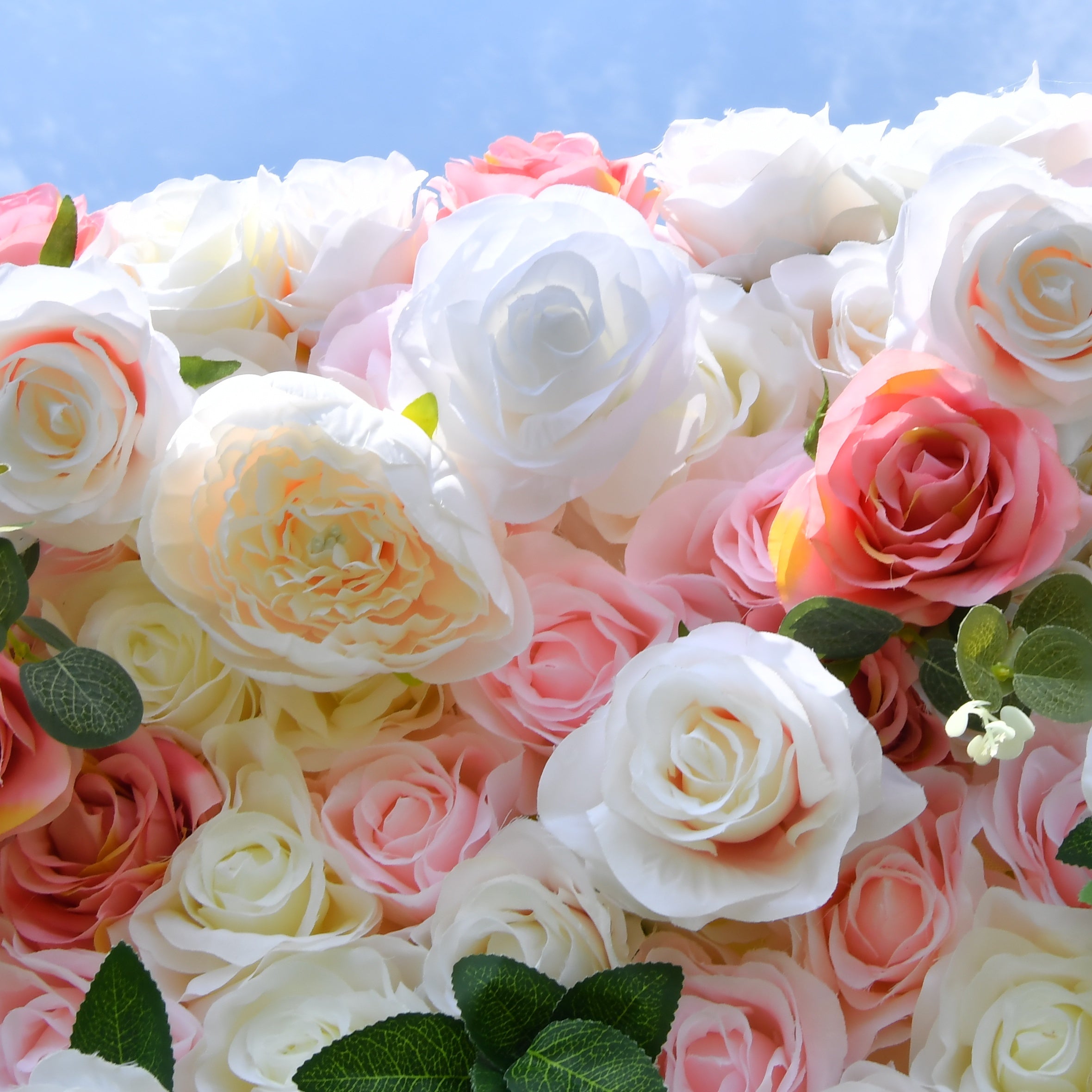 5D Pink White Artificial Rose Roll Up Flower Wall Events  ACFW-005