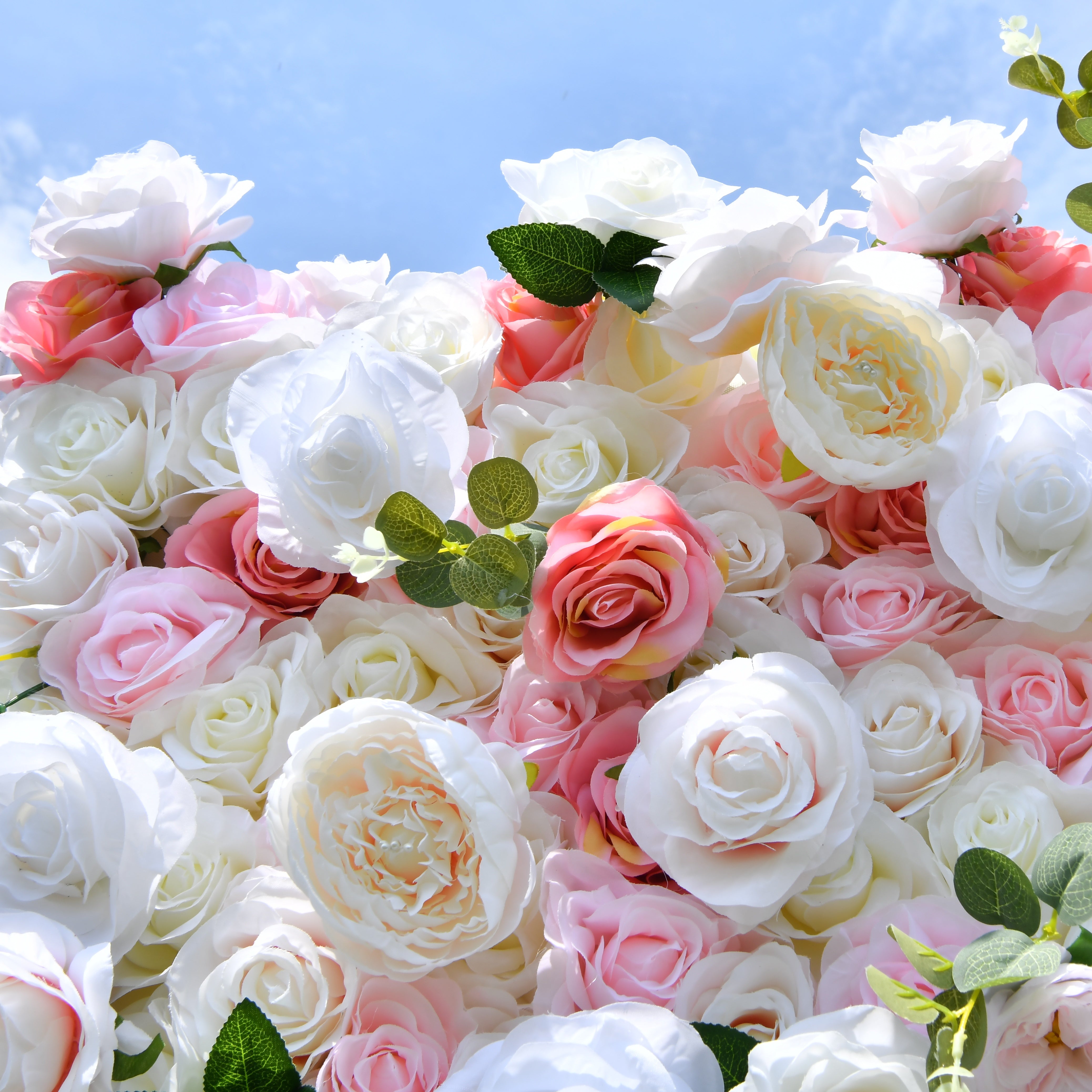5D Pink White Artificial Rose Roll Up Flower Wall Events  ACFW-005
