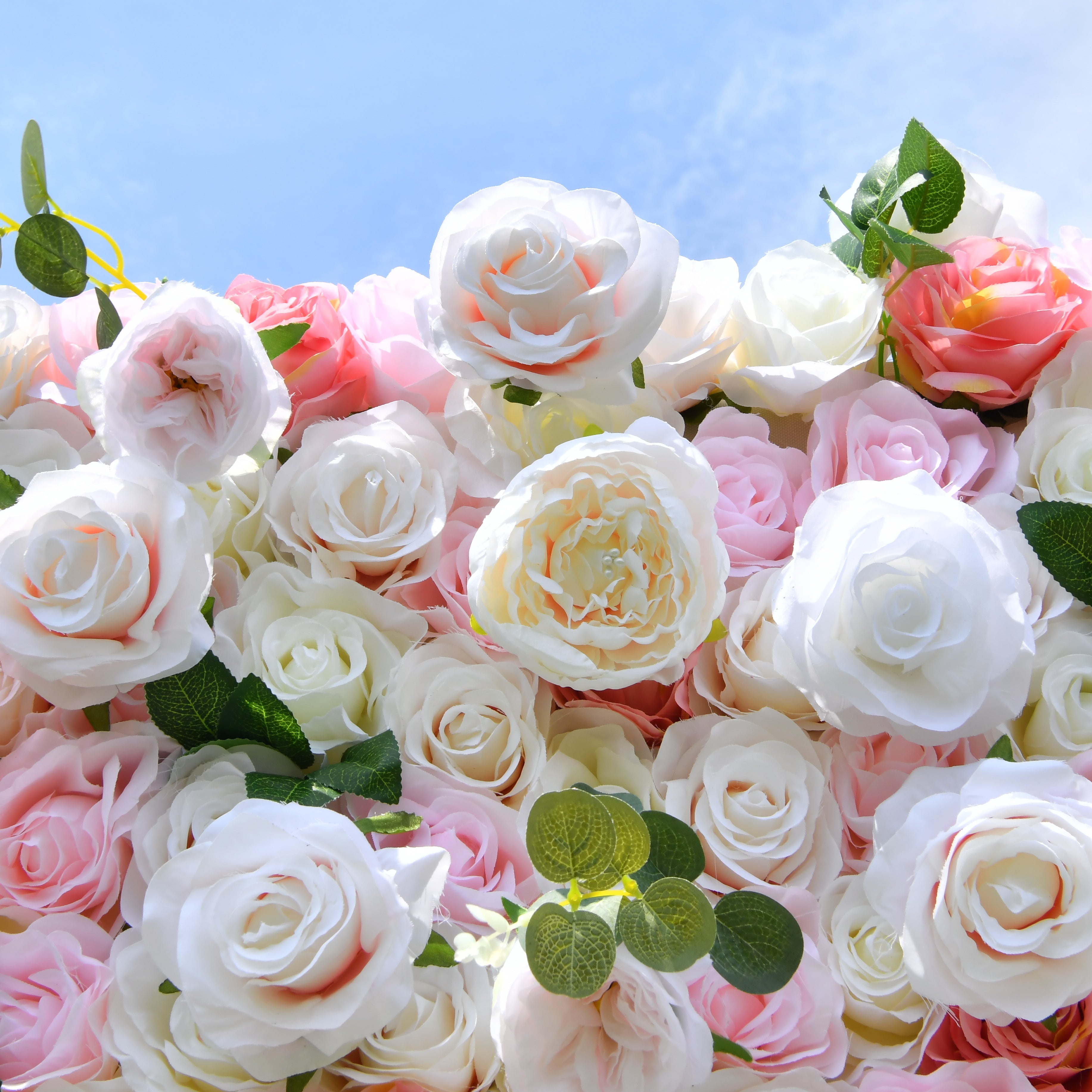 5D Pink White Artificial Rose Roll Up Flower Wall Events  ACFW-005