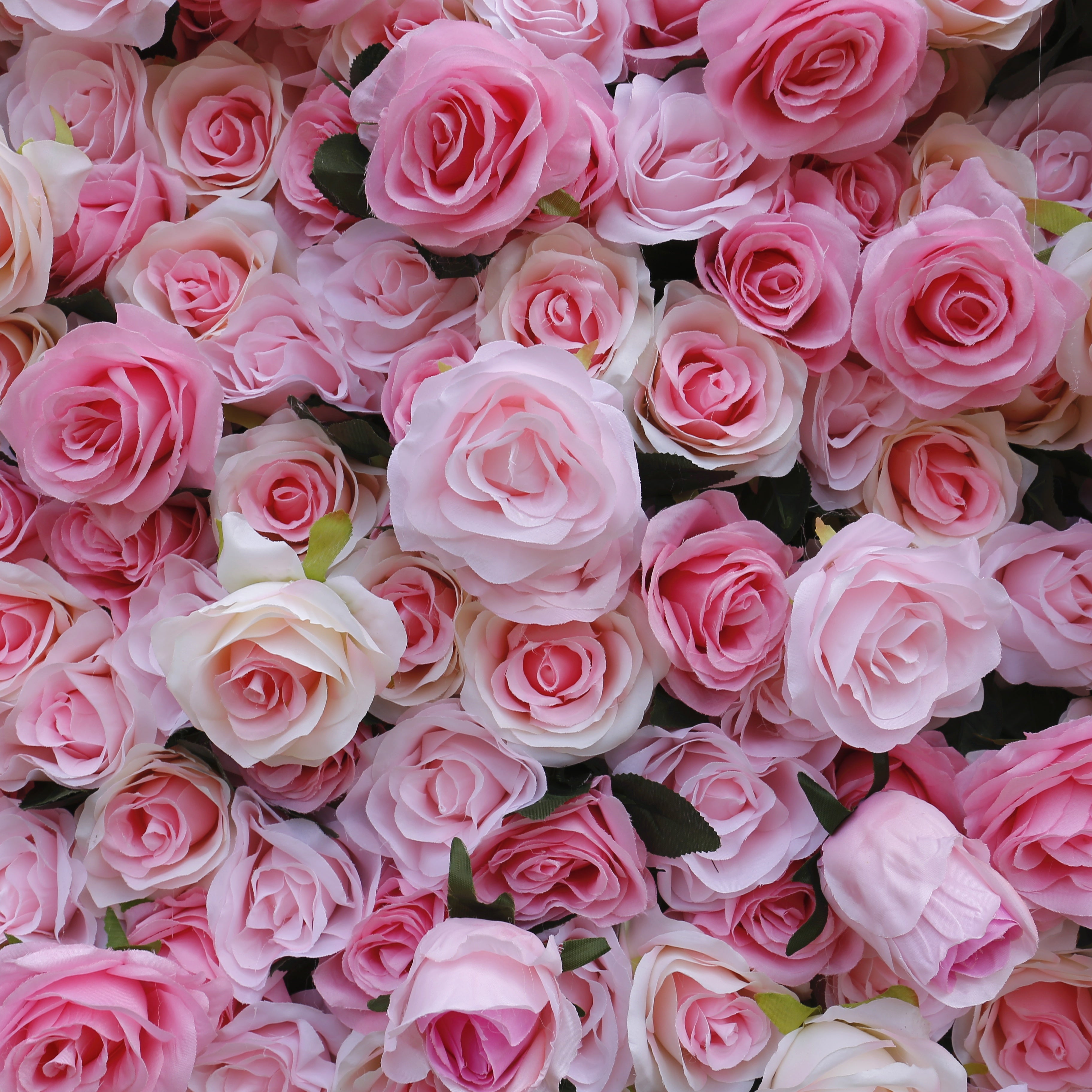Sweet Pink Rose 5D Roll-Up Artificial Flower Wall for Events Decor ACFW-040