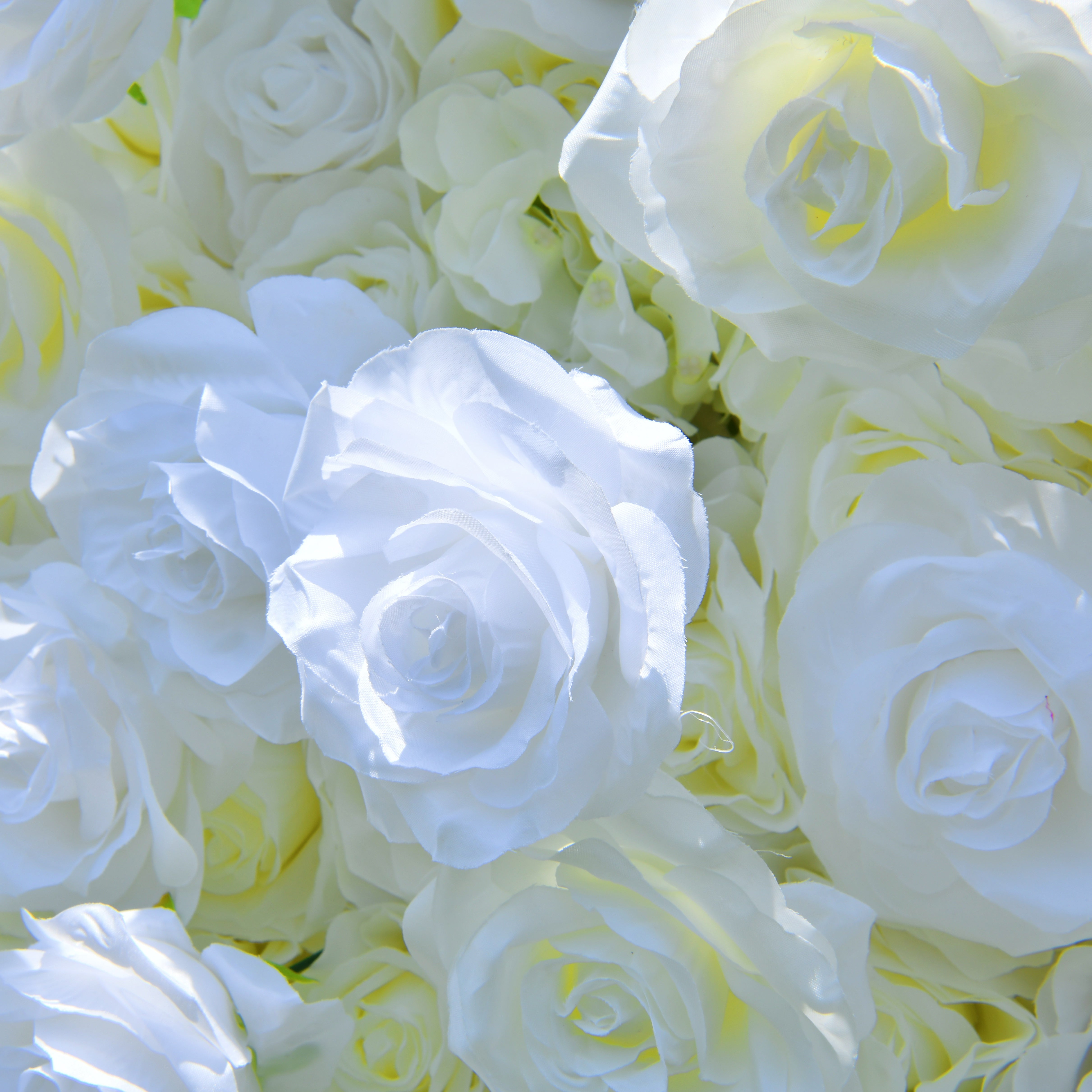 Pure White Fabric Roses Wedding Backdrop Roll Up Flower Wall ACFW-0601
