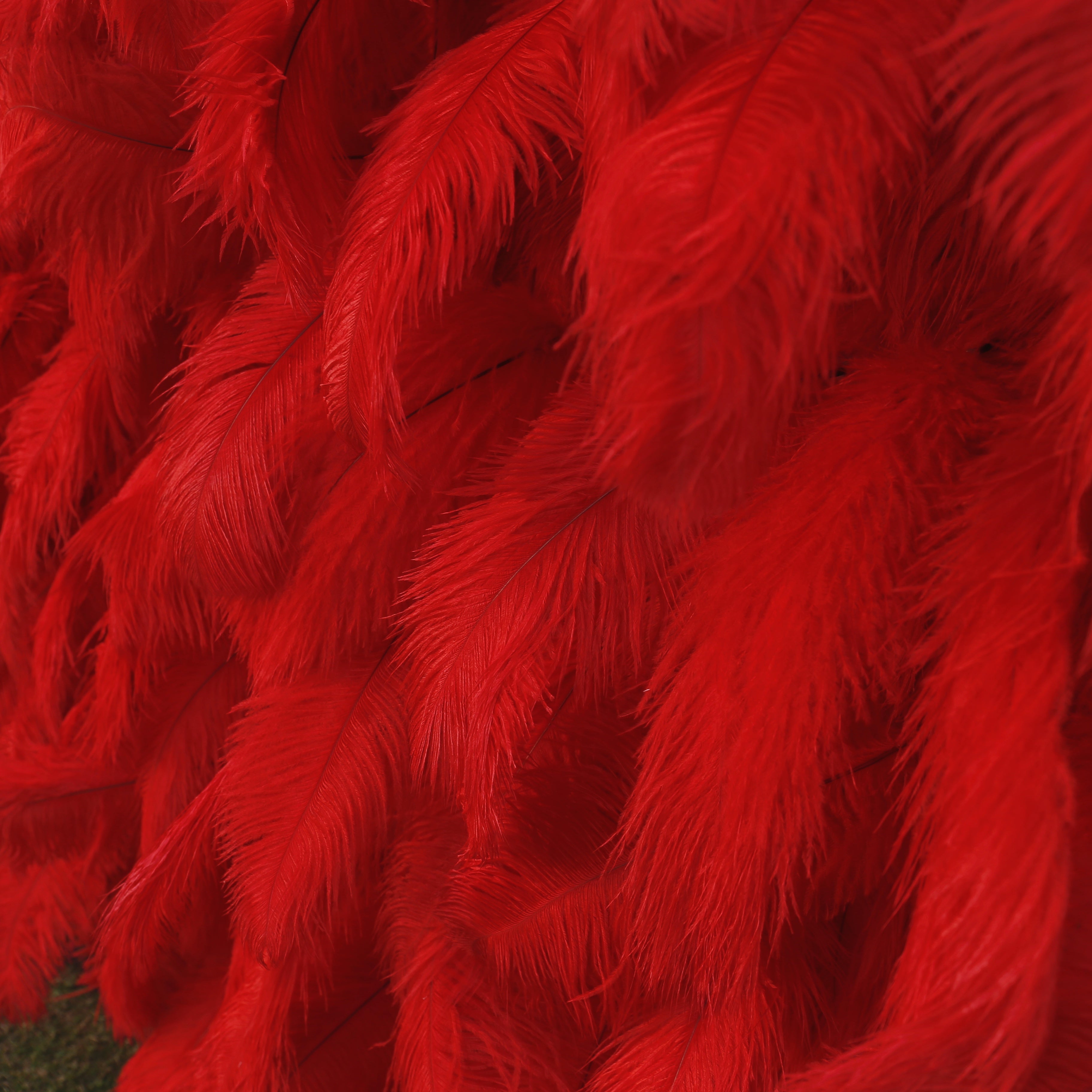 Hot Red Feather Hanging Flower Wall Party Events Backdrop ACFW-069