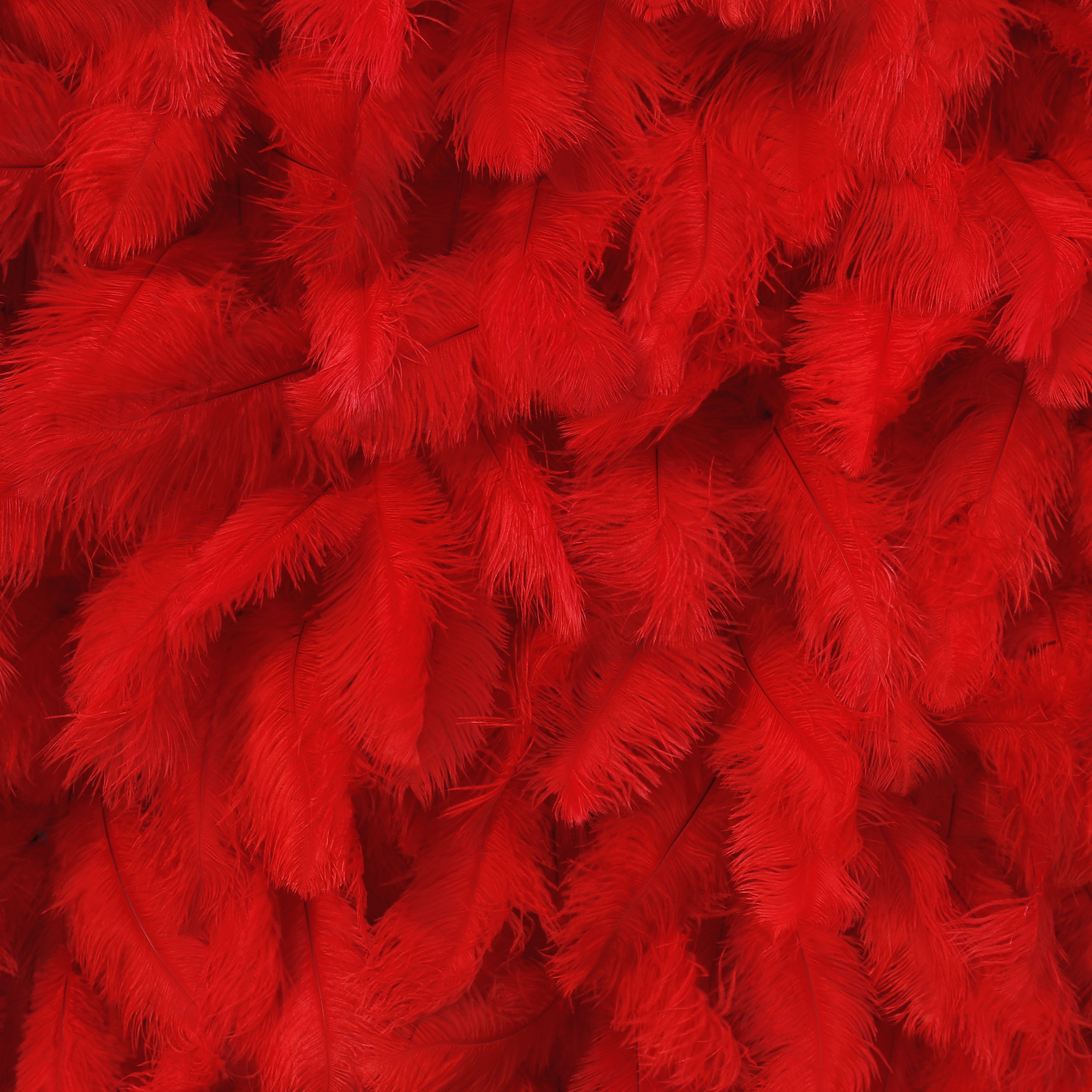 Hot Red Feather Hanging Flower Wall Party Events Backdrop ACFW-069