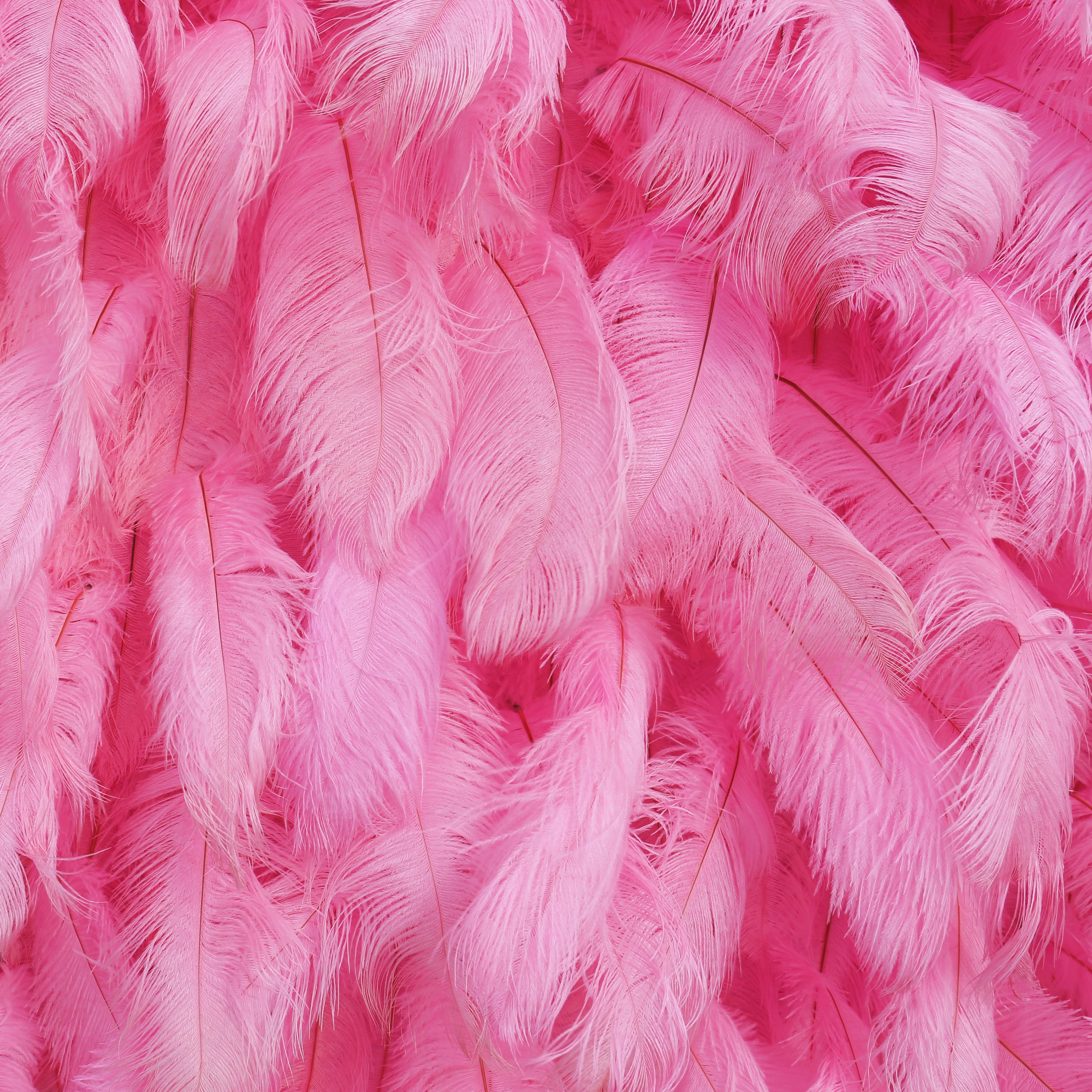 Pink Orange Artificial Feather Backdrop Flower Wall for Party Decor ACFW-116