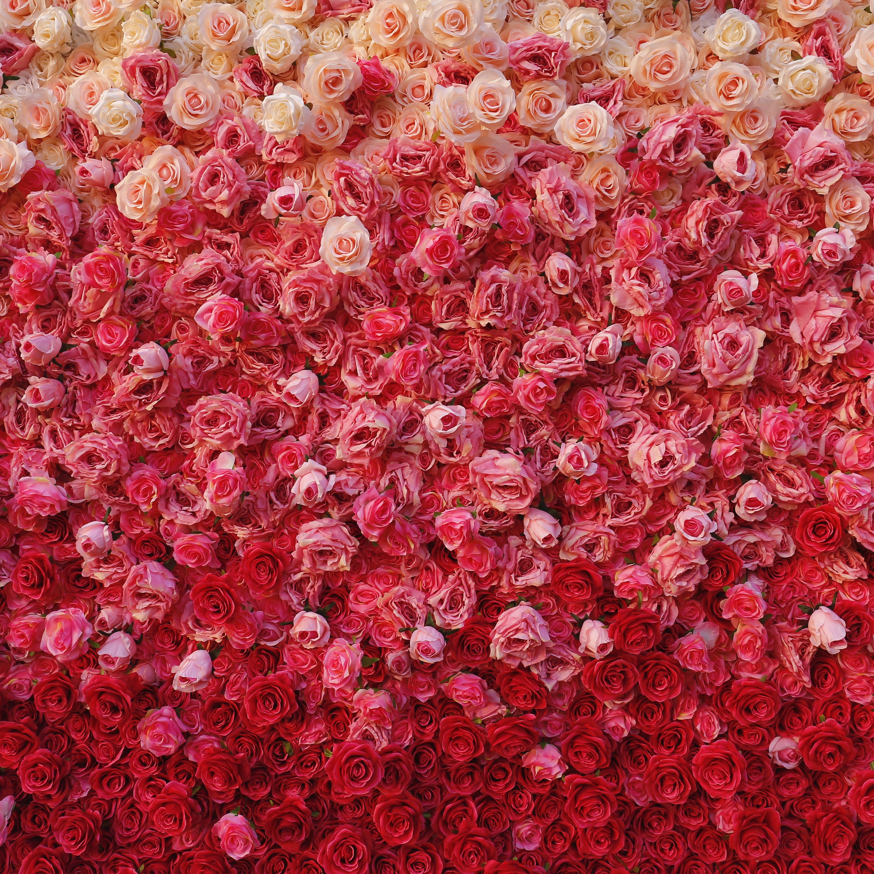 Ombre Pink Red Artificial Flower Wall Backdrop For Wedding Decor ACFW-094