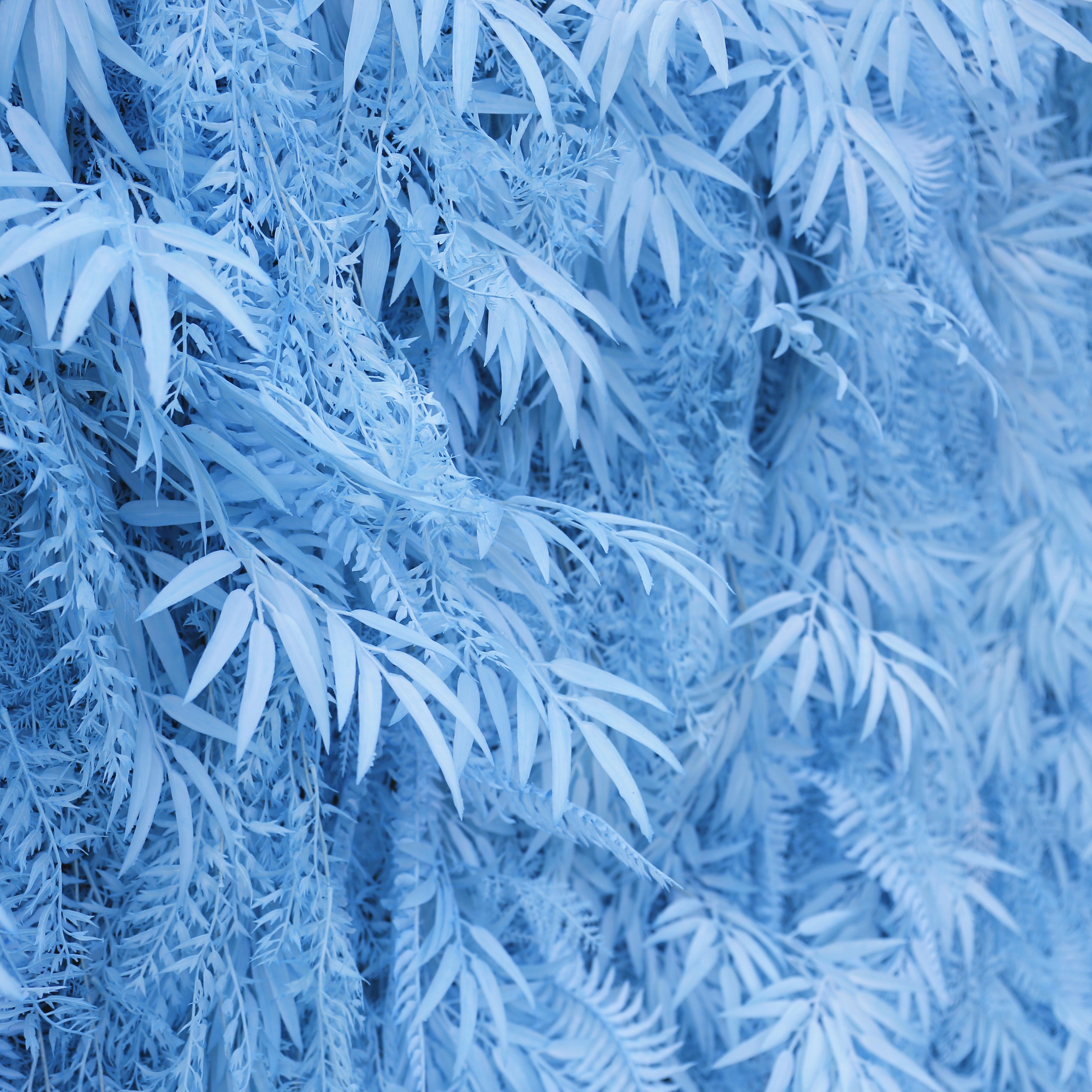 Artificial Pink Blue Pampas Wall Roll Up Hanging Backdrop Event Decor ACFW-111