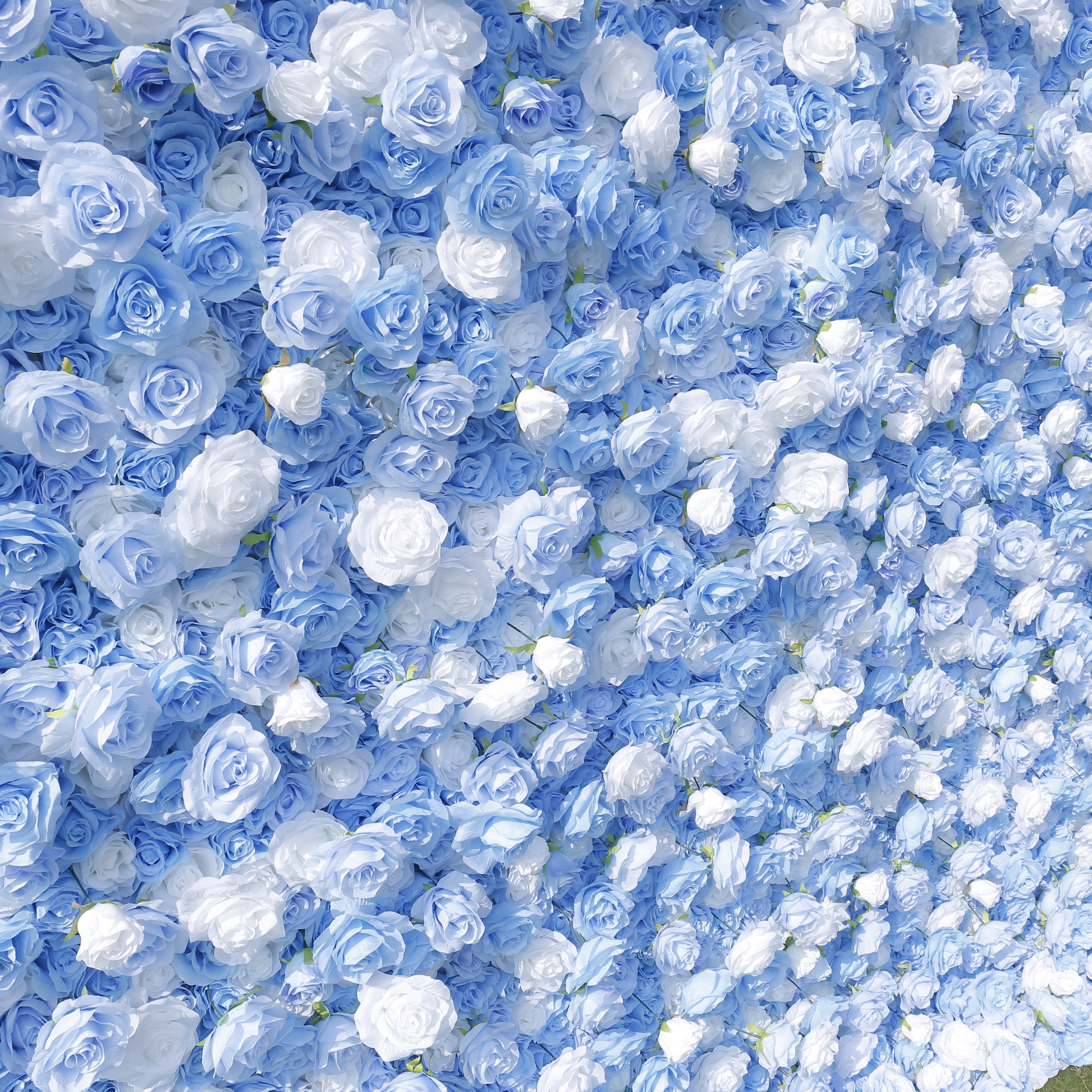 5D Baby Blue White Rose Flower Wall Backdrop For Wedding Decor ACFW-123