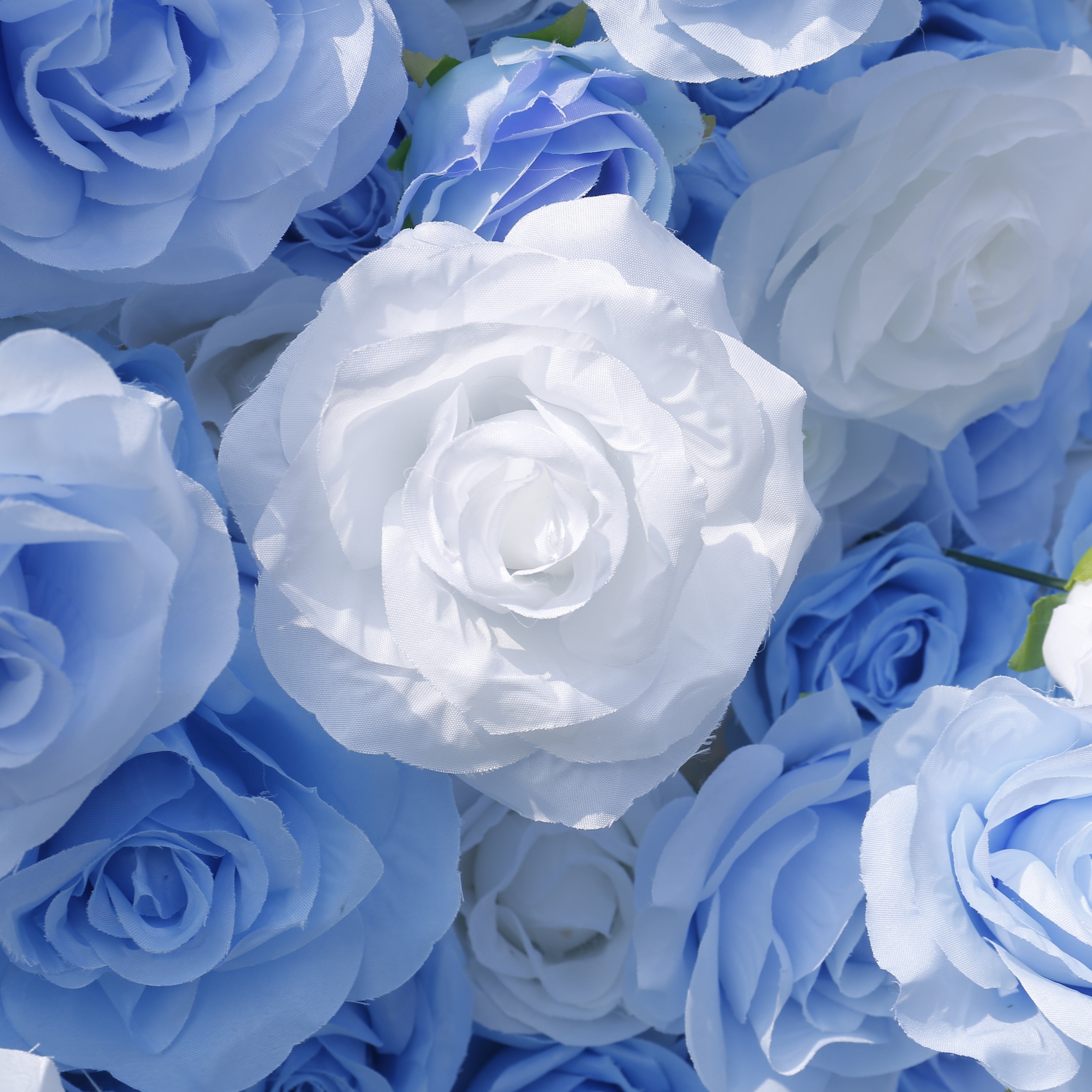 5D Baby Blue White Rose Flower Wall Backdrop For Wedding Decor ACFW-123