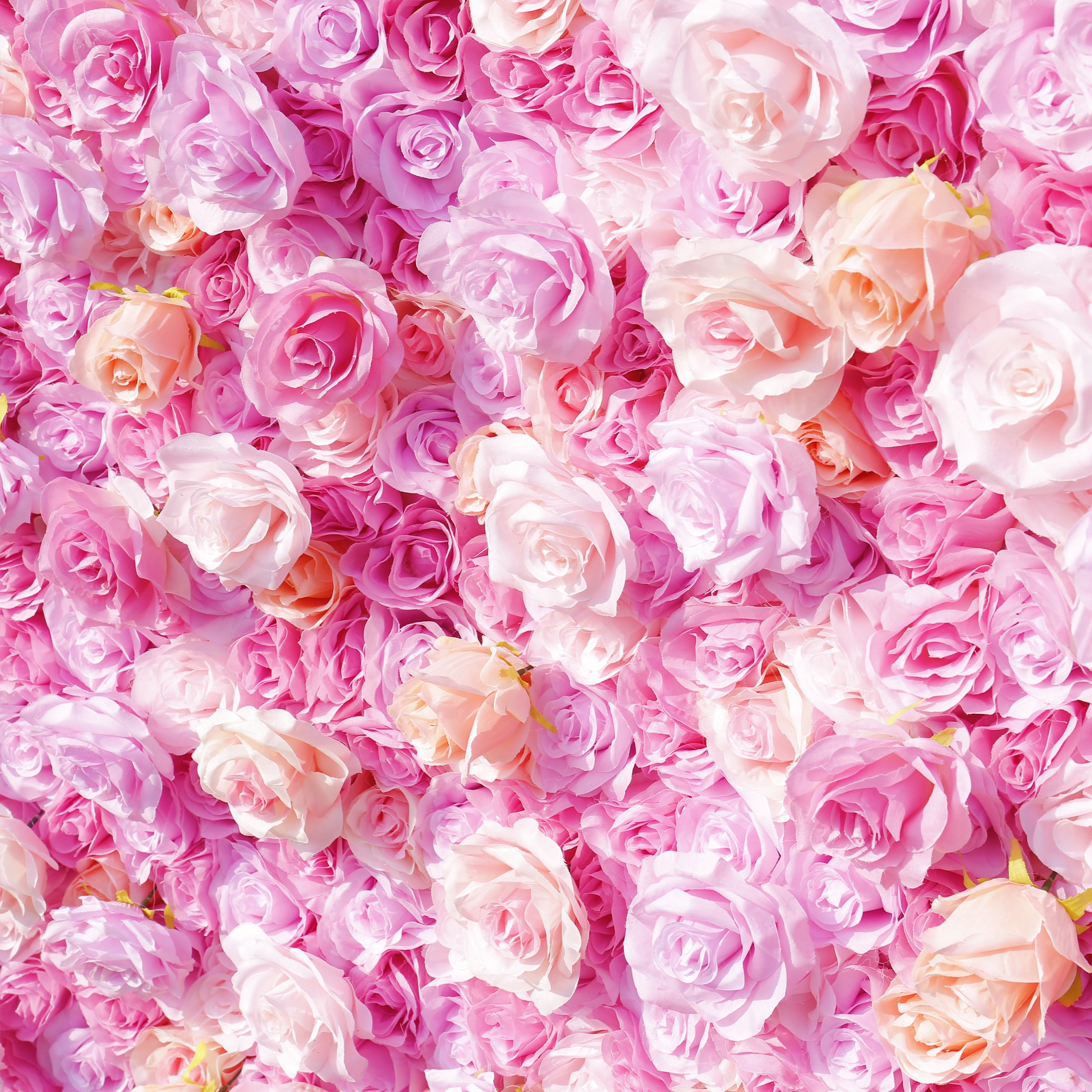 Pink Roses Fabric Flower Wall for Wedding Birthday Party ACFW-143
