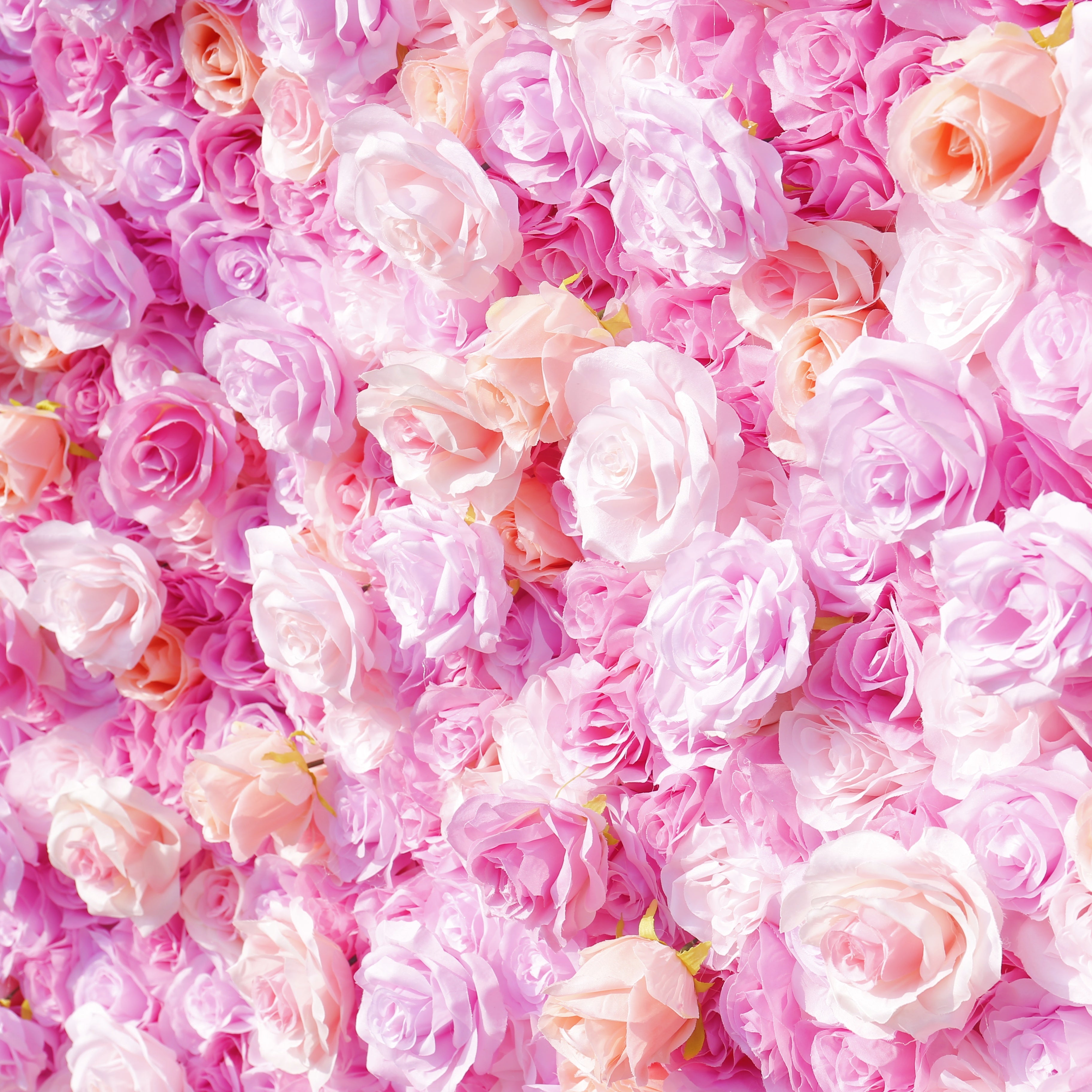 Pink Roses Fabric Flower Wall for Wedding Birthday Party ACFW-143