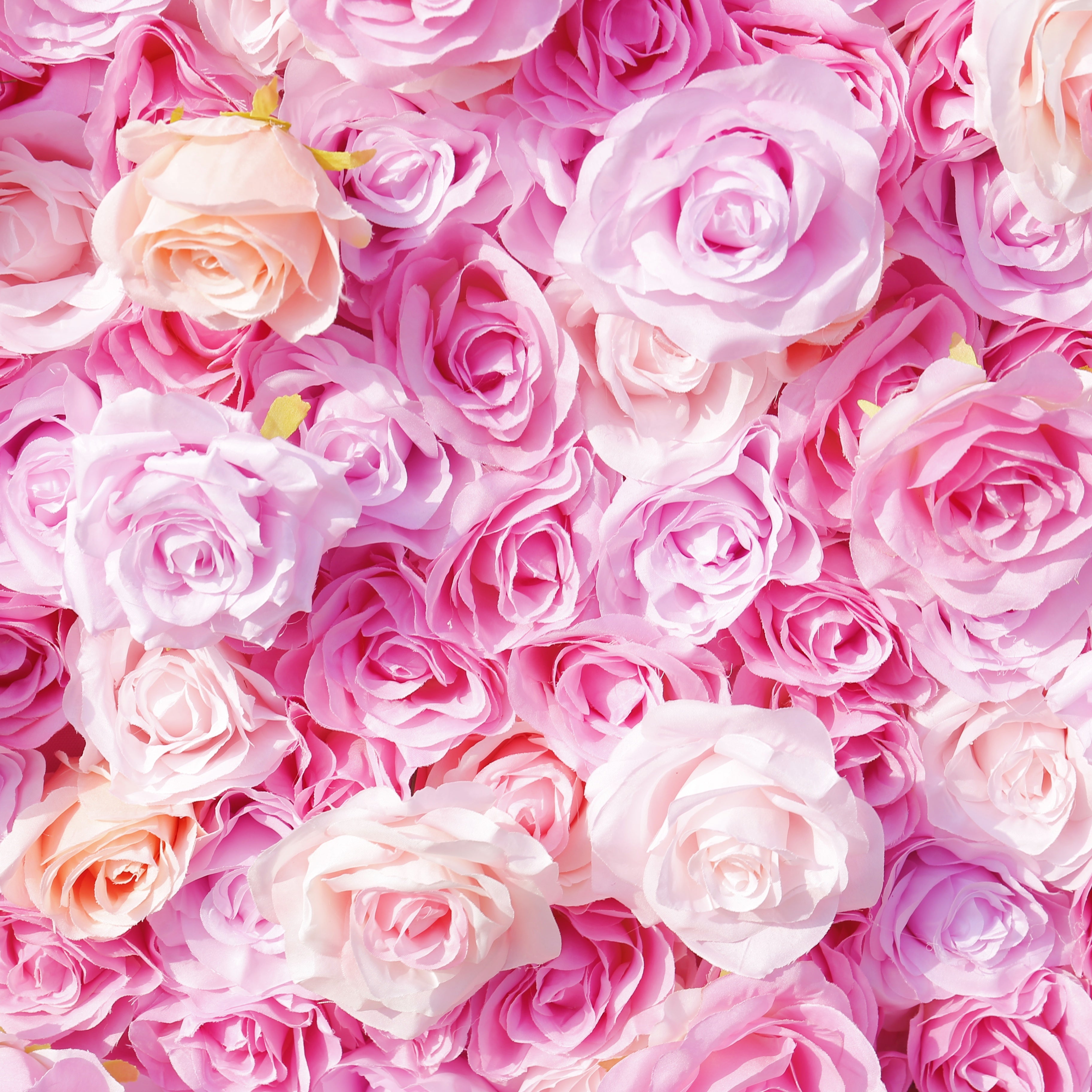 Pink Roses Fabric Flower Wall for Wedding Birthday Party ACFW-143
