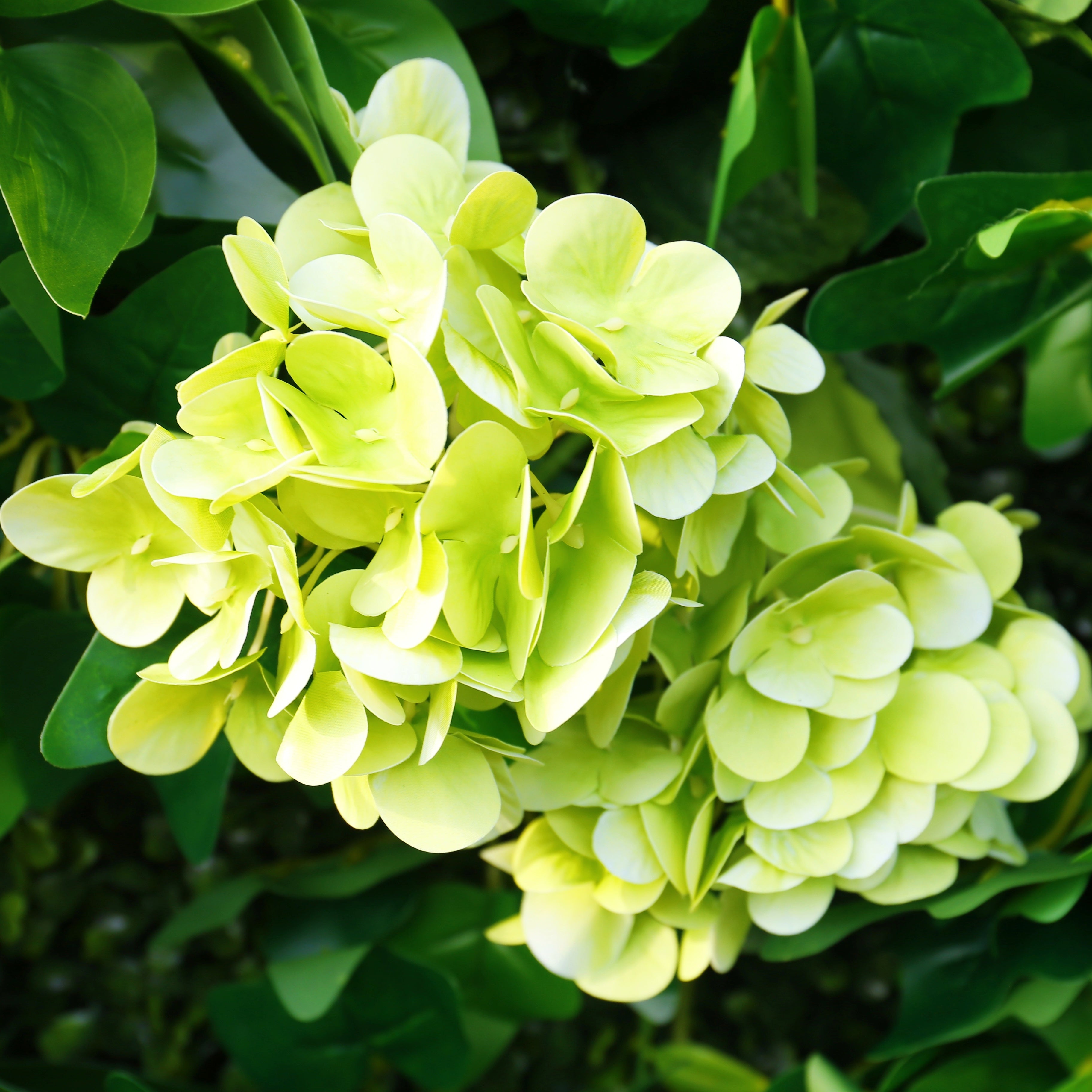 8ft Greenery Fabric Artificial Forest Flower Wall for Wedding Decor ACFW-163