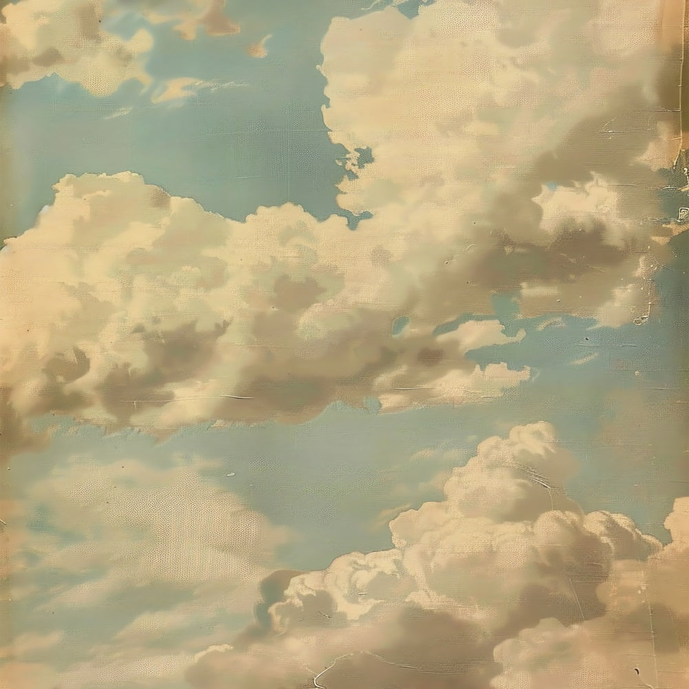 Portrait Backdrop Sky Blue Decor Cloudy Wall Backdrop BRP11-639