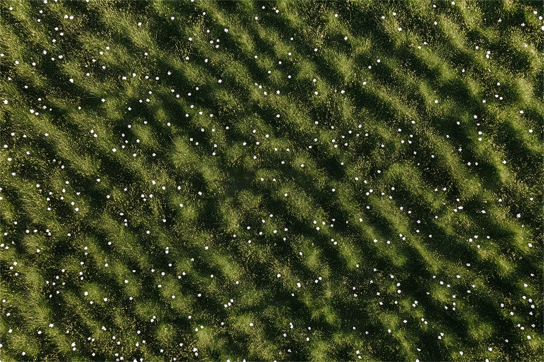 Backdrop Floor Rippling Grass White Flowers Backdrop BRP1-44