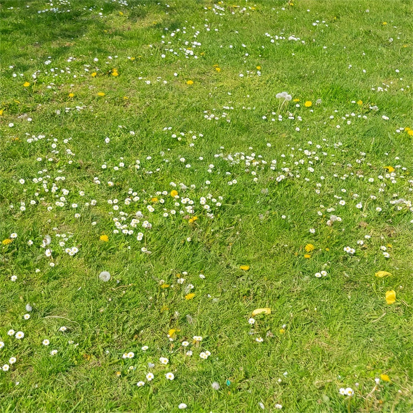 Backdrops And Floors Wildflower Green Grass Floor Backdrop BRP1-525