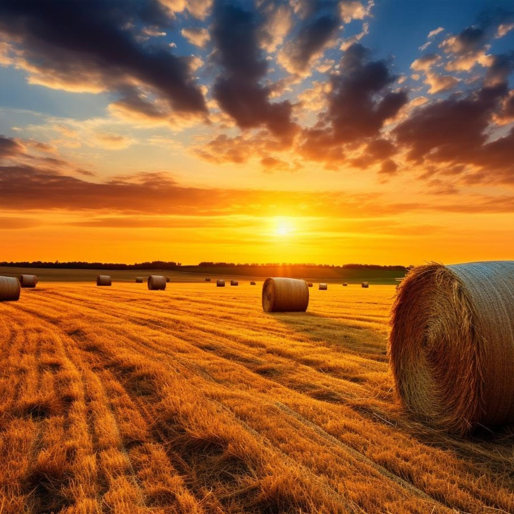 Fall Backdrop Sunset Harvest Hay Bales Backdrop BRP10-253