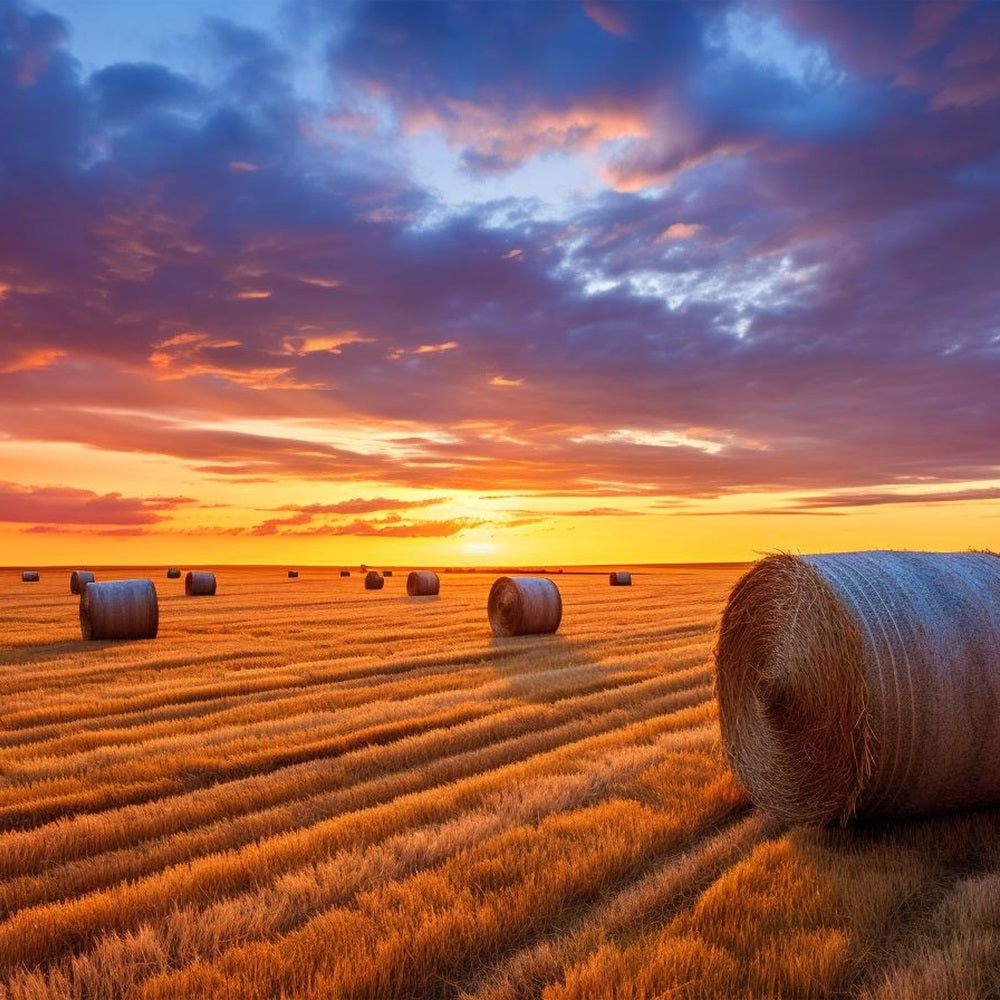 Fall Photo Backdrop Hay Bales Twilight Backdrop BRP10-254