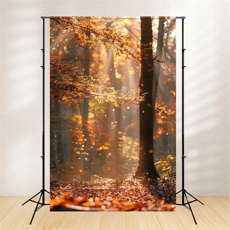 Autumn Photo Backdrops Forest Shimmering Sunbeams Backdrop BRP10-263