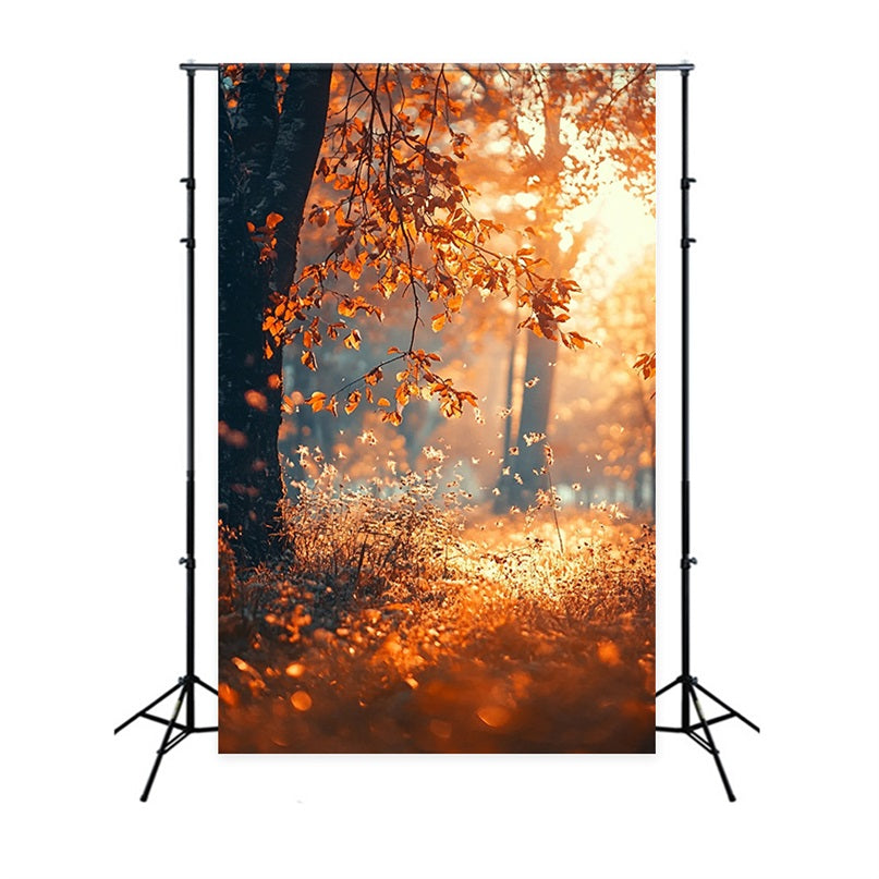 Fall Season Backdrop Sunbeam Trees Photo Backdrop BRP10-265