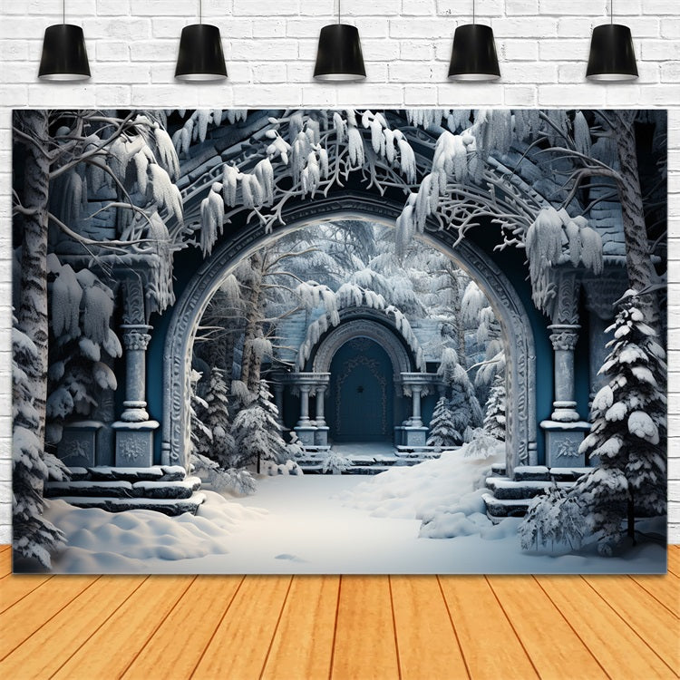 Winter Scene Photo Backdrop Castle Ruins Arch Backdrop BRP11-263