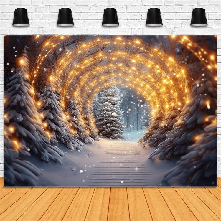 Backdrop Winter Wonderland Glowing Light Arch Backdrop BRP11-267